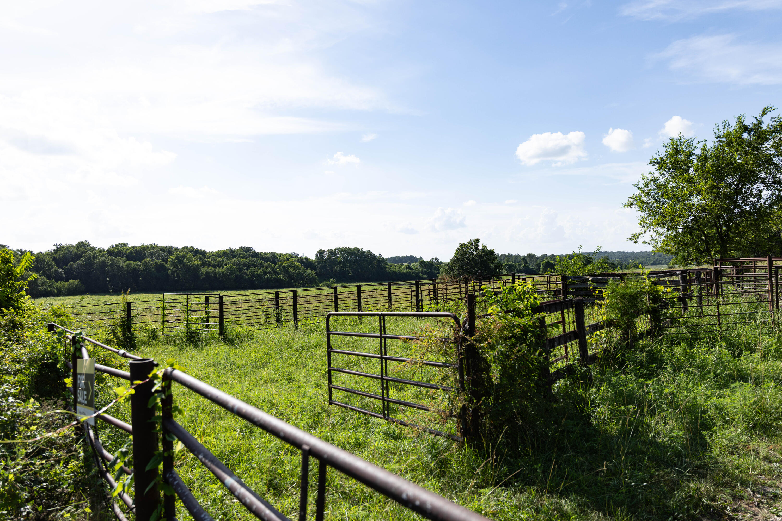 Photo 155 - Farm for sale – 16406  Lawrence 2240   Verona, MO