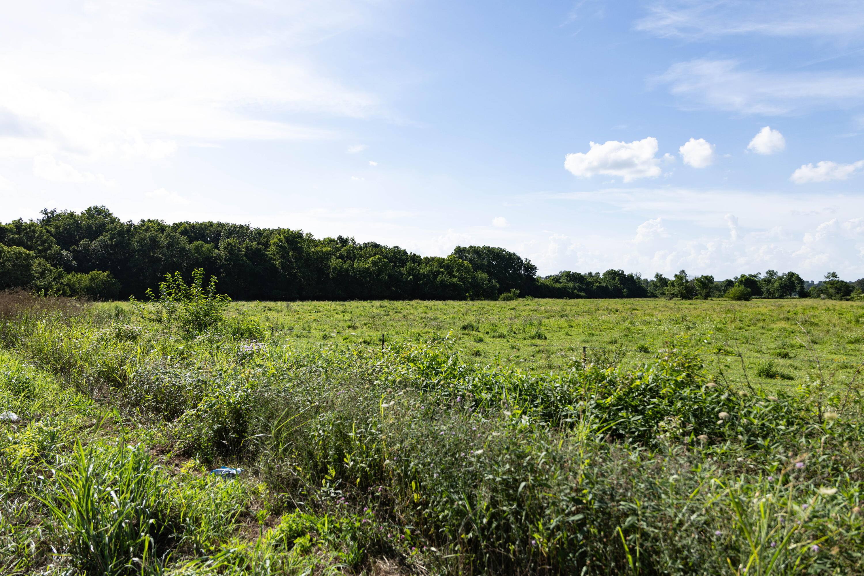 Photo 162 - Farm for sale – 16406  Lawrence 2240   Verona, MO