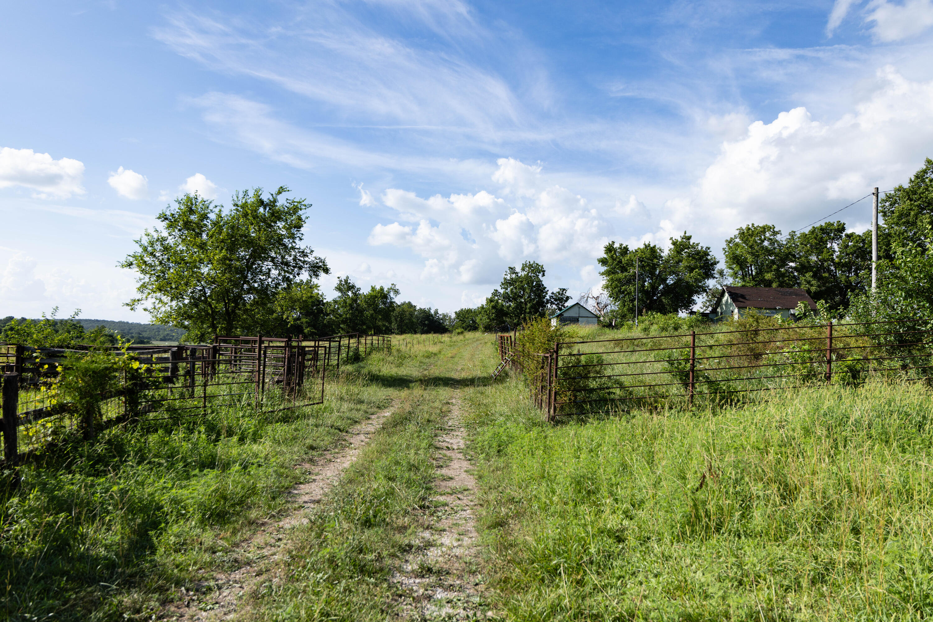 Photo 150 - Farm for sale – 16406  Lawrence 2240   Verona, MO