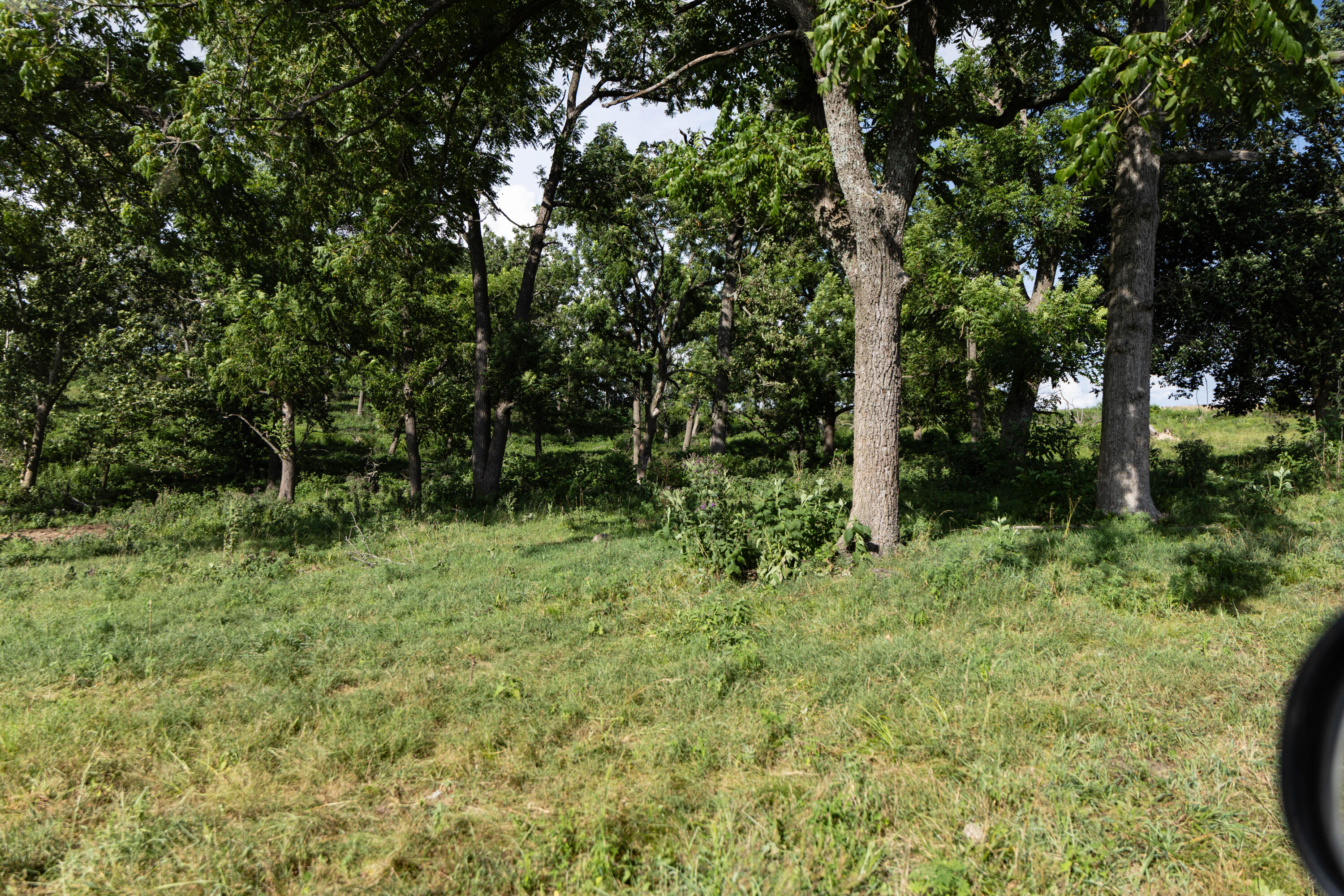 Photo 98 - Farm for sale – 16406  Lawrence 2240   Verona, MO