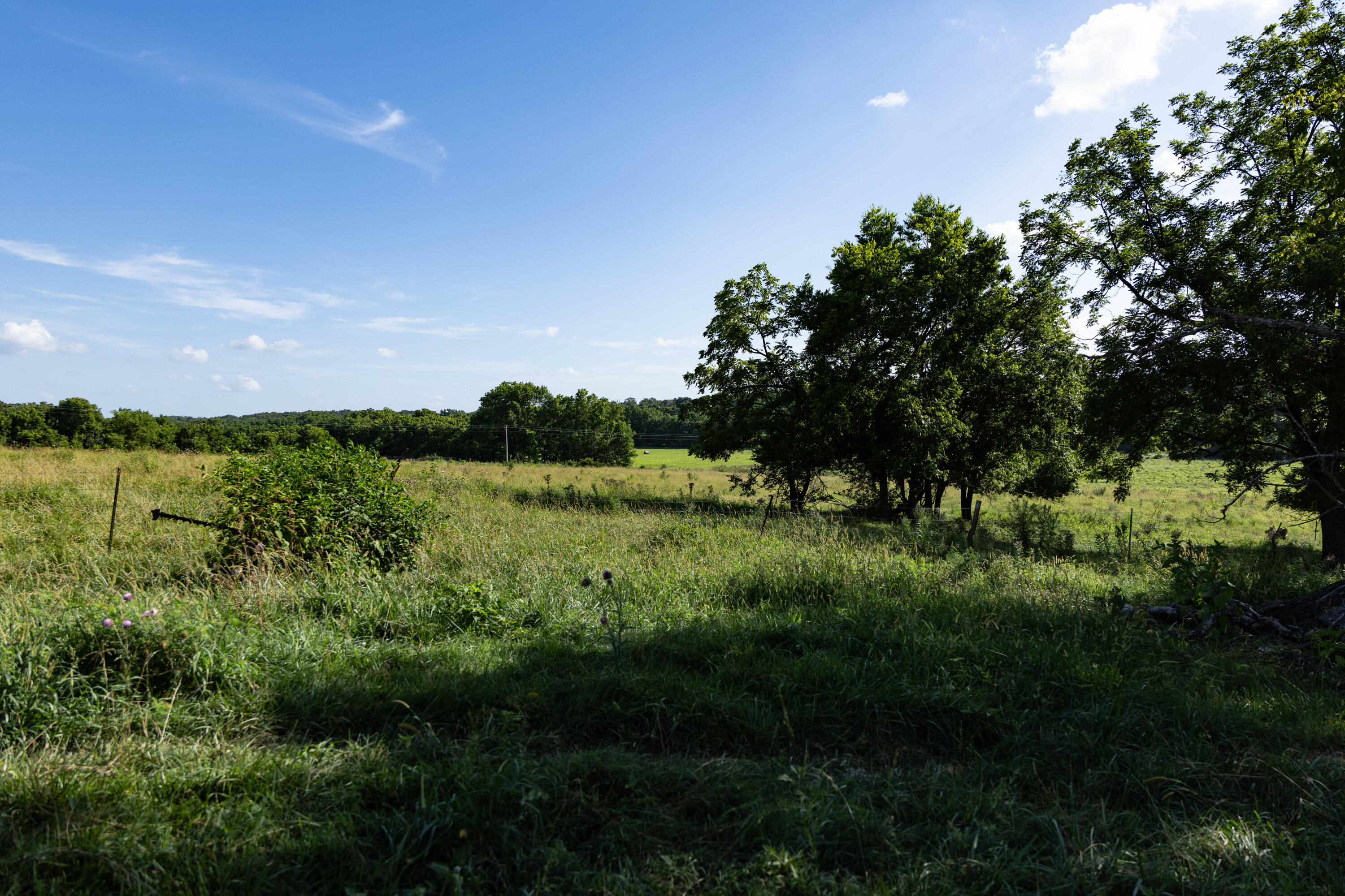 Photo 120 - Farm for sale – 16406  Lawrence 2240   Verona, MO