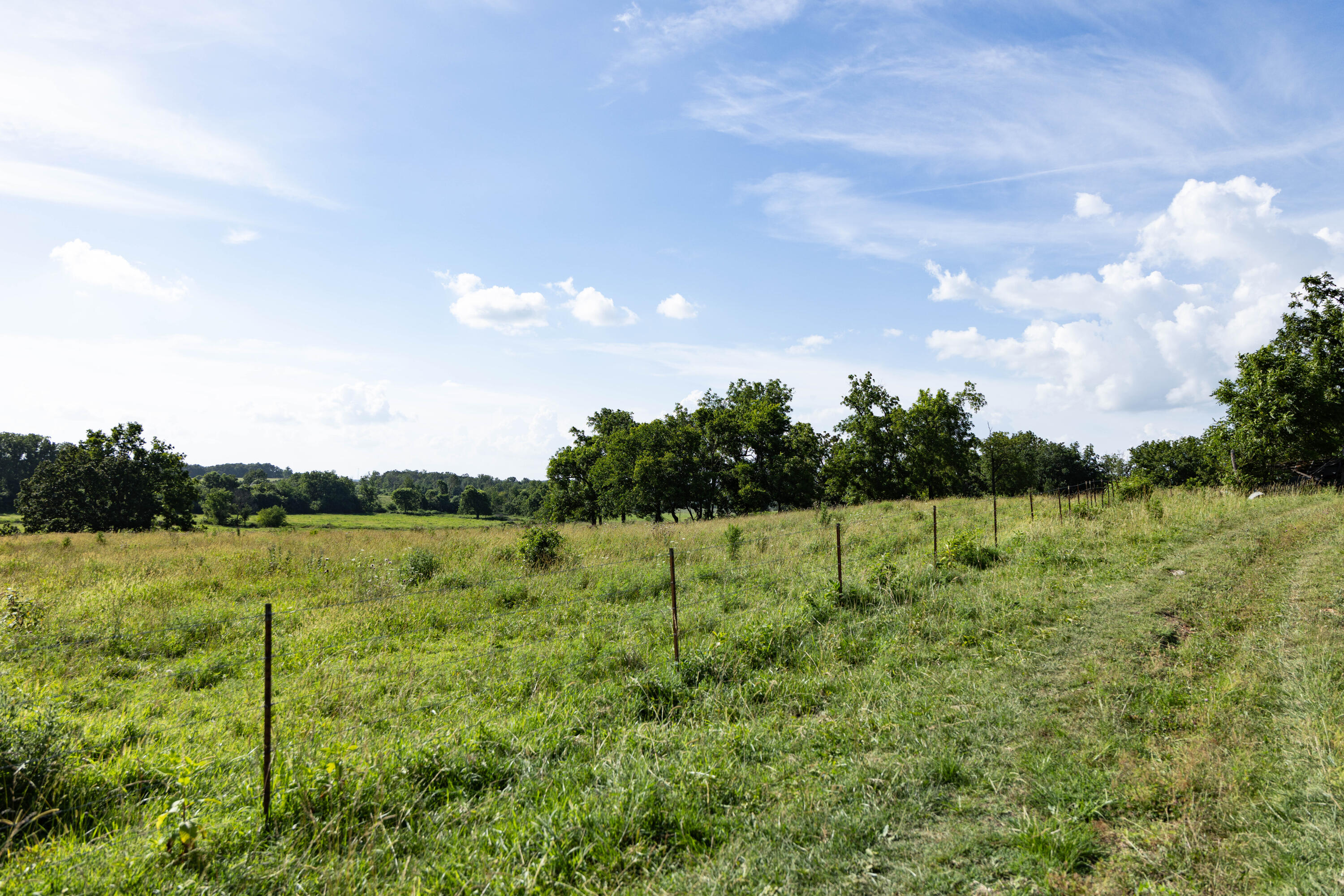 Photo 136 - Farm for sale – 16406  Lawrence 2240   Verona, MO