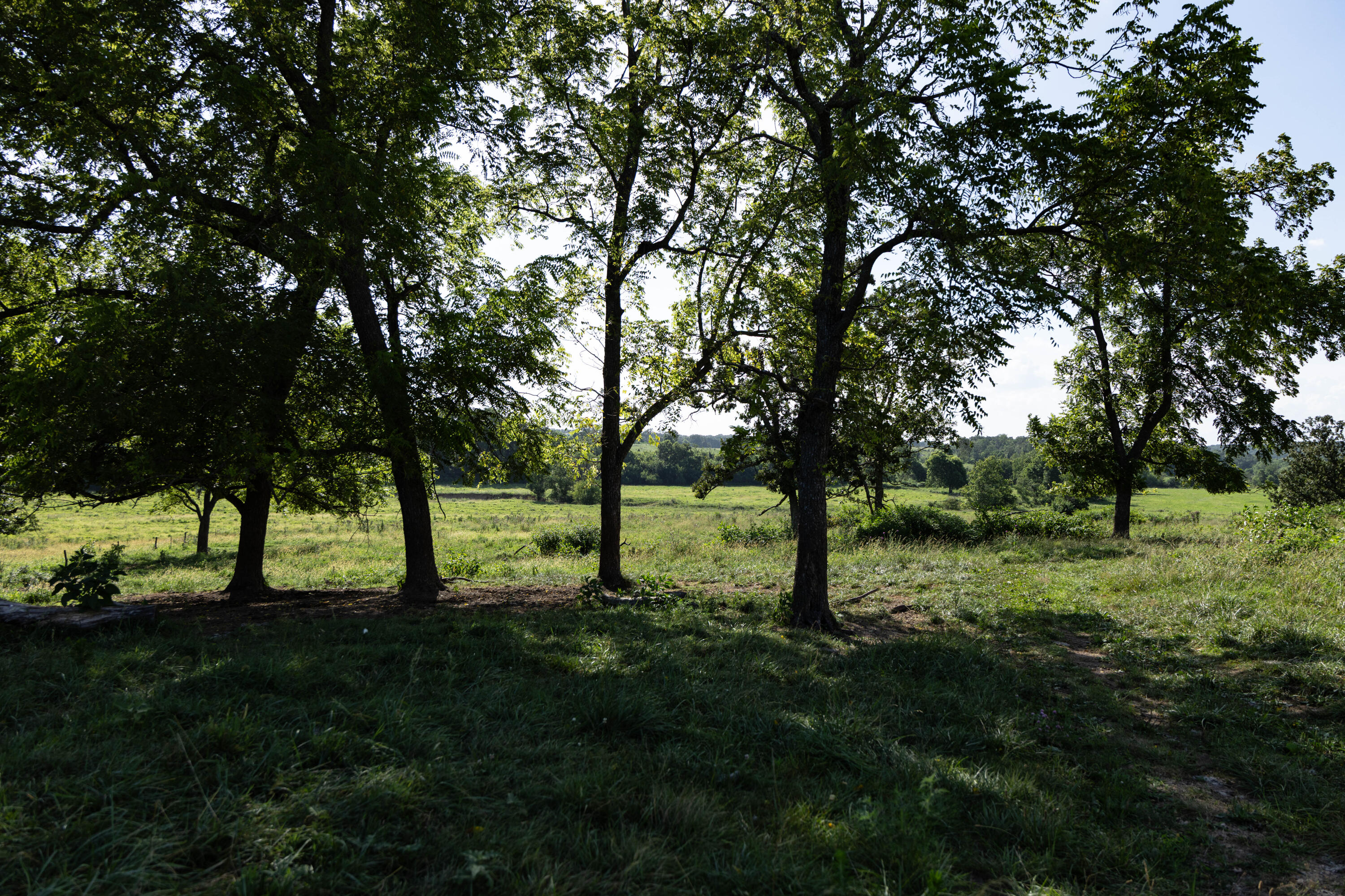 Photo 112 - Farm for sale – 16406  Lawrence 2240   Verona, MO