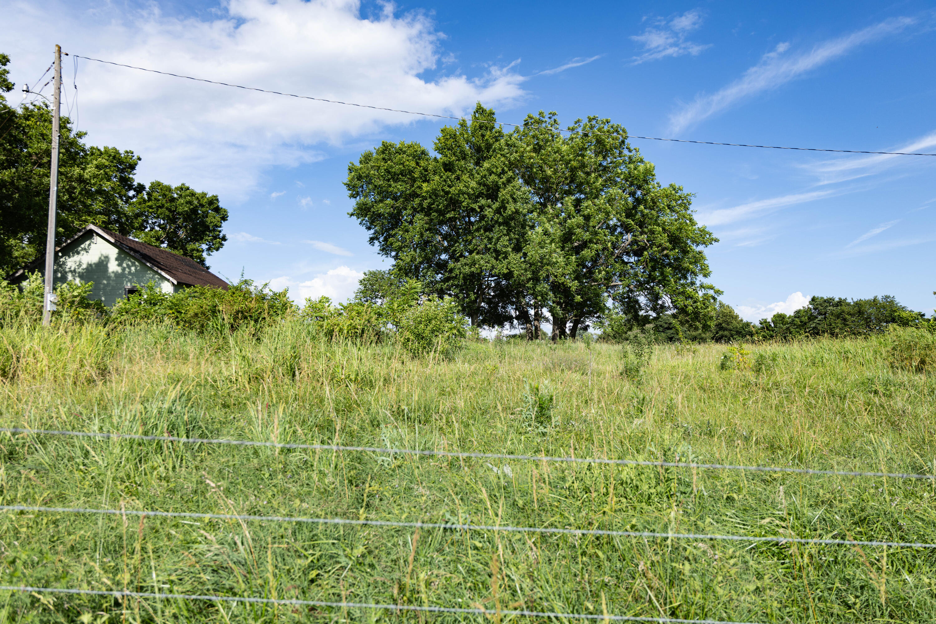 Photo 123 - Farm for sale – 16406  Lawrence 2240   Verona, MO
