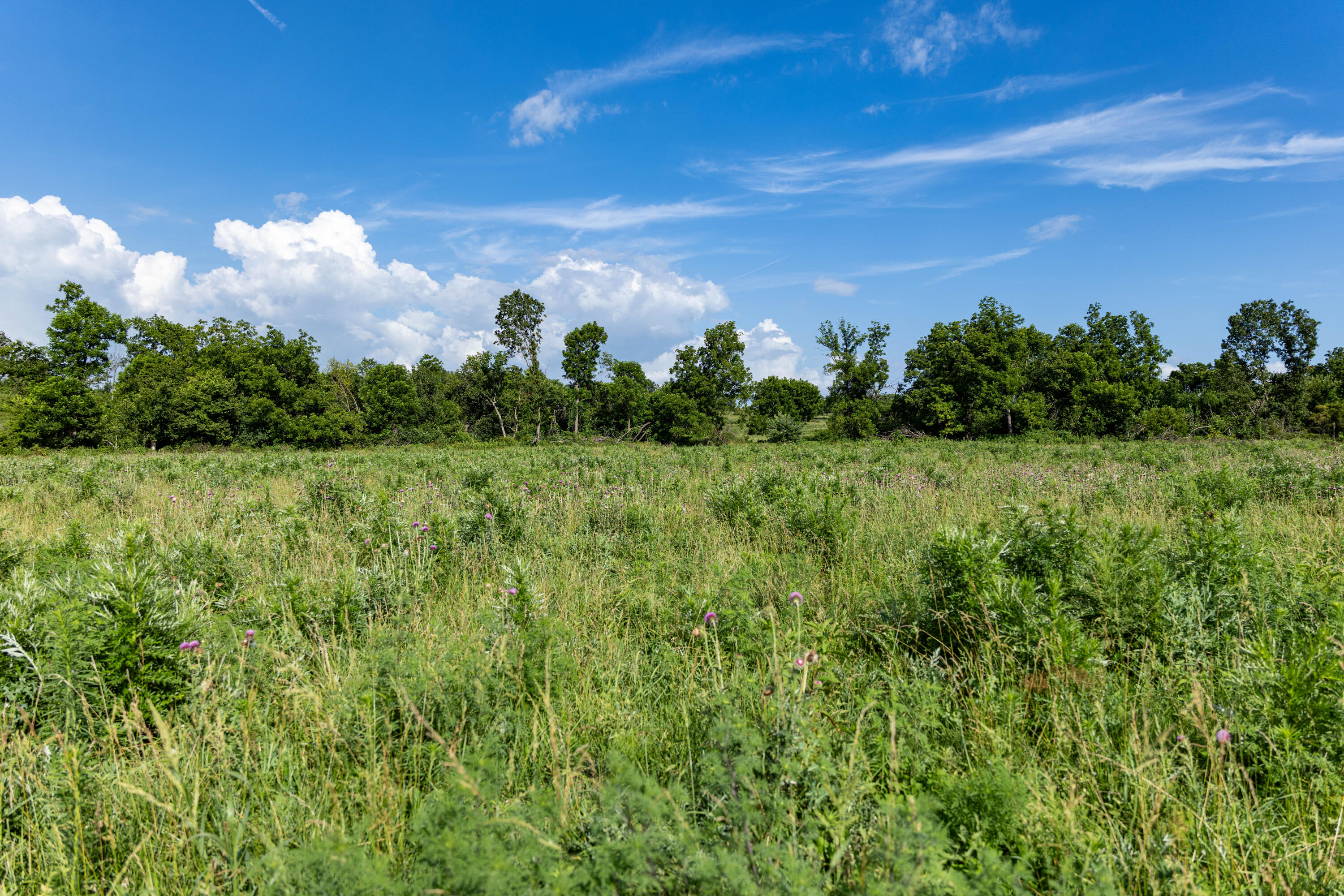 Photo 16 - Farm for sale – 16406  Lawrence 2240   Verona, MO