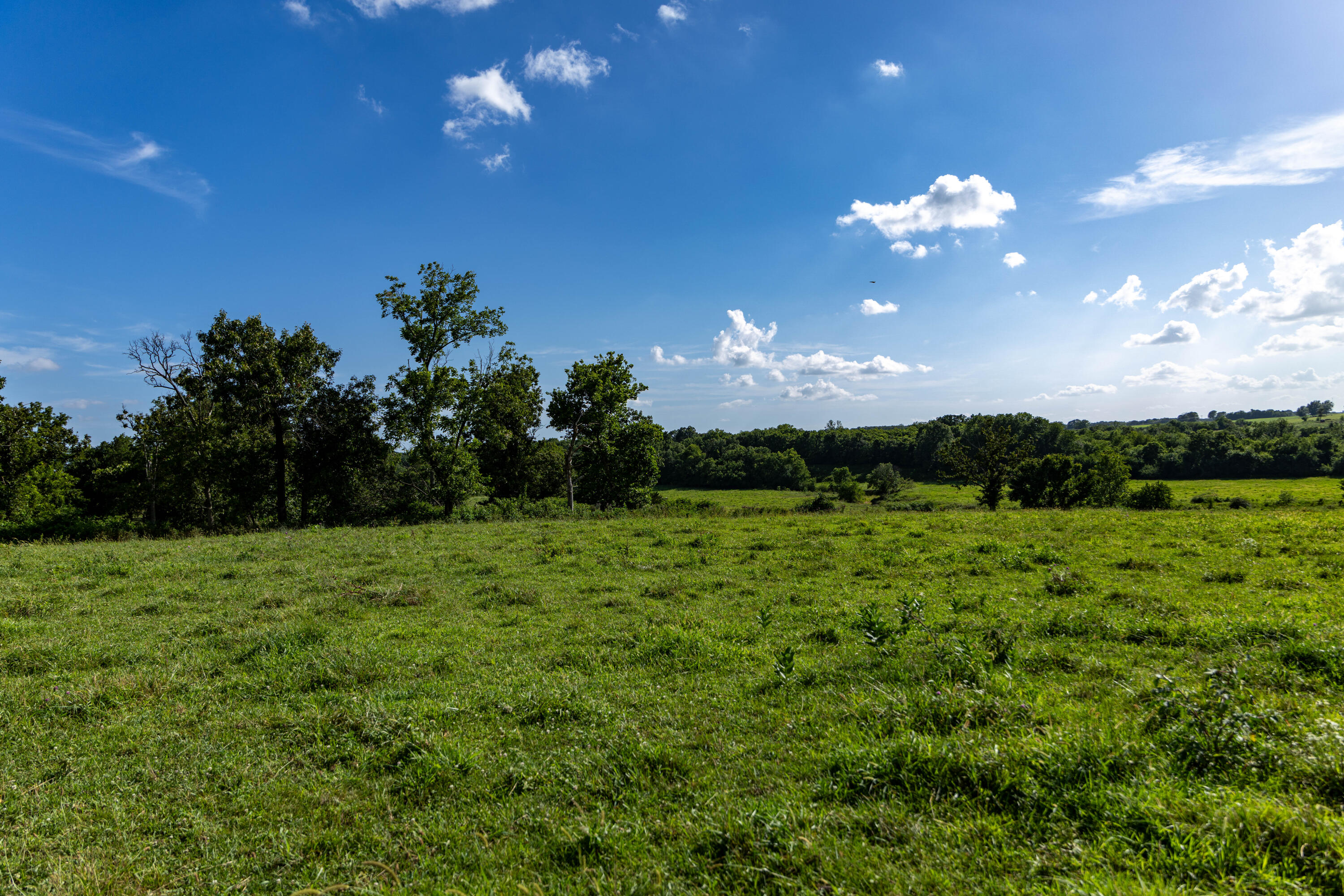 Photo 77 - Farm for sale – 16406  Lawrence 2240   Verona, MO