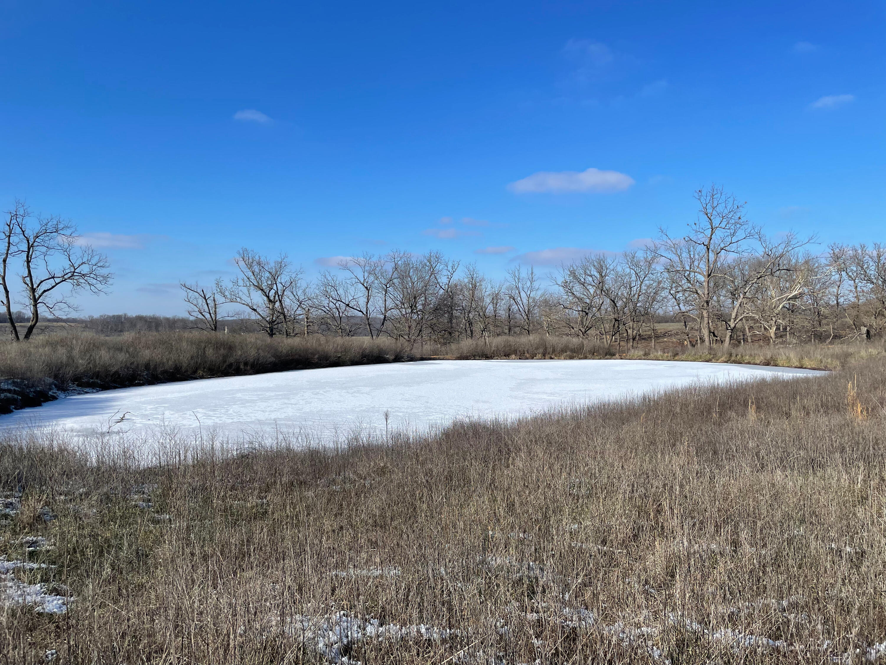 Photo 10 - Farm for sale – 16406  Lawrence 2240   Verona, MO