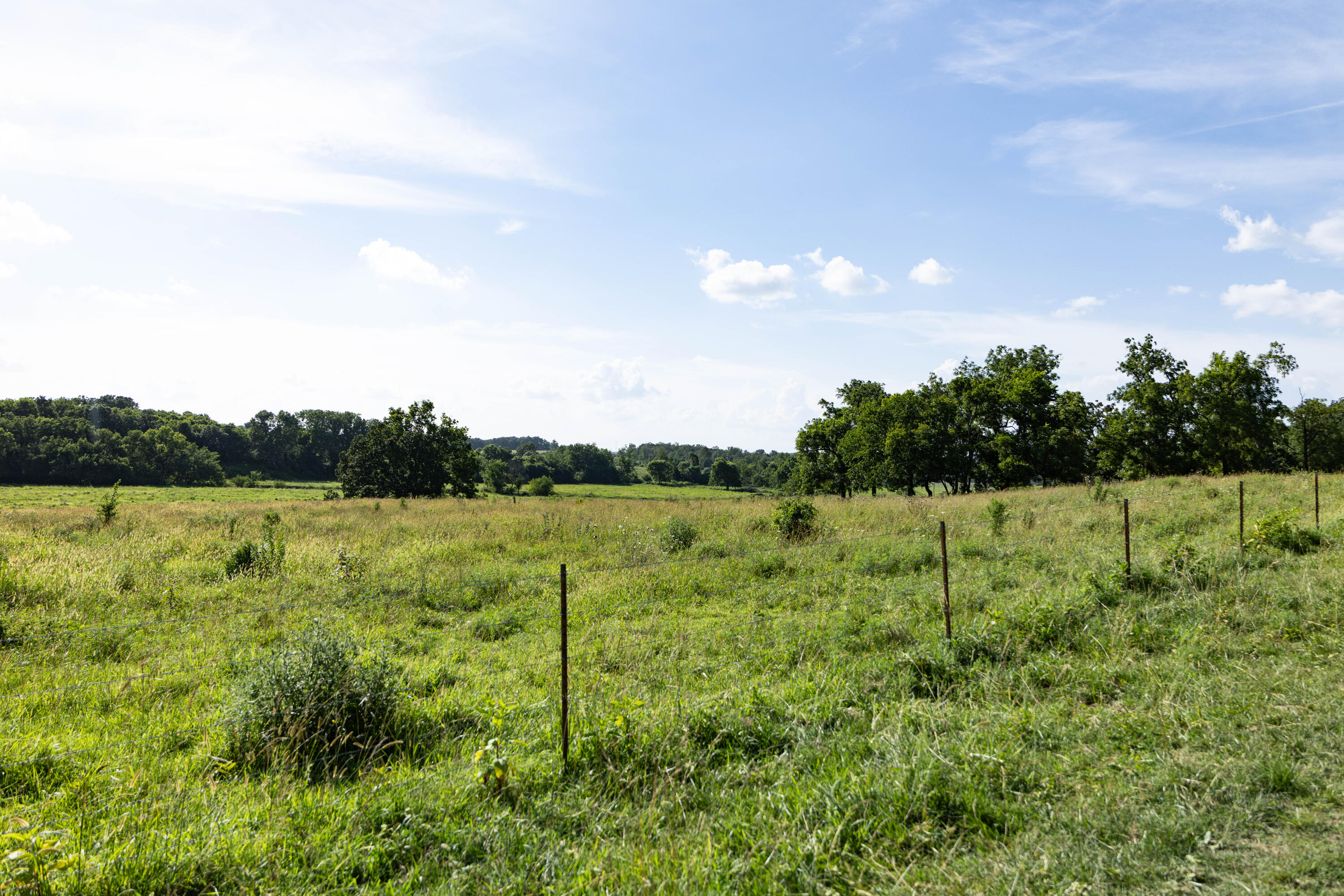 Photo 138 - Farm for sale – 16406  Lawrence 2240   Verona, MO