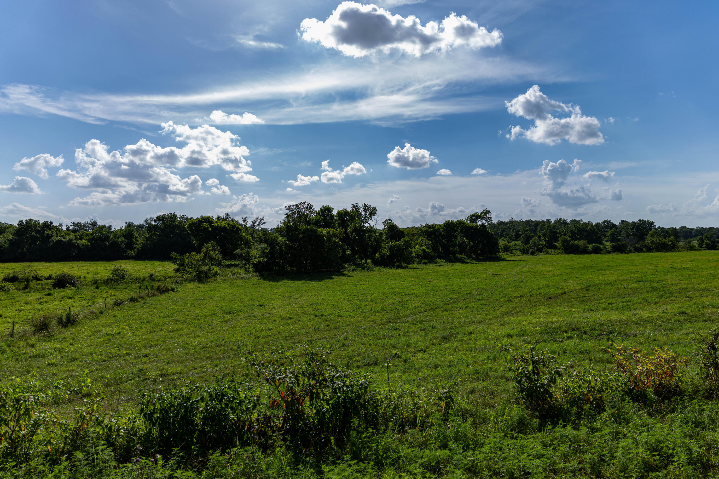 Photo 82 - Farm for sale – 16406  Lawrence 2240   Verona, MO