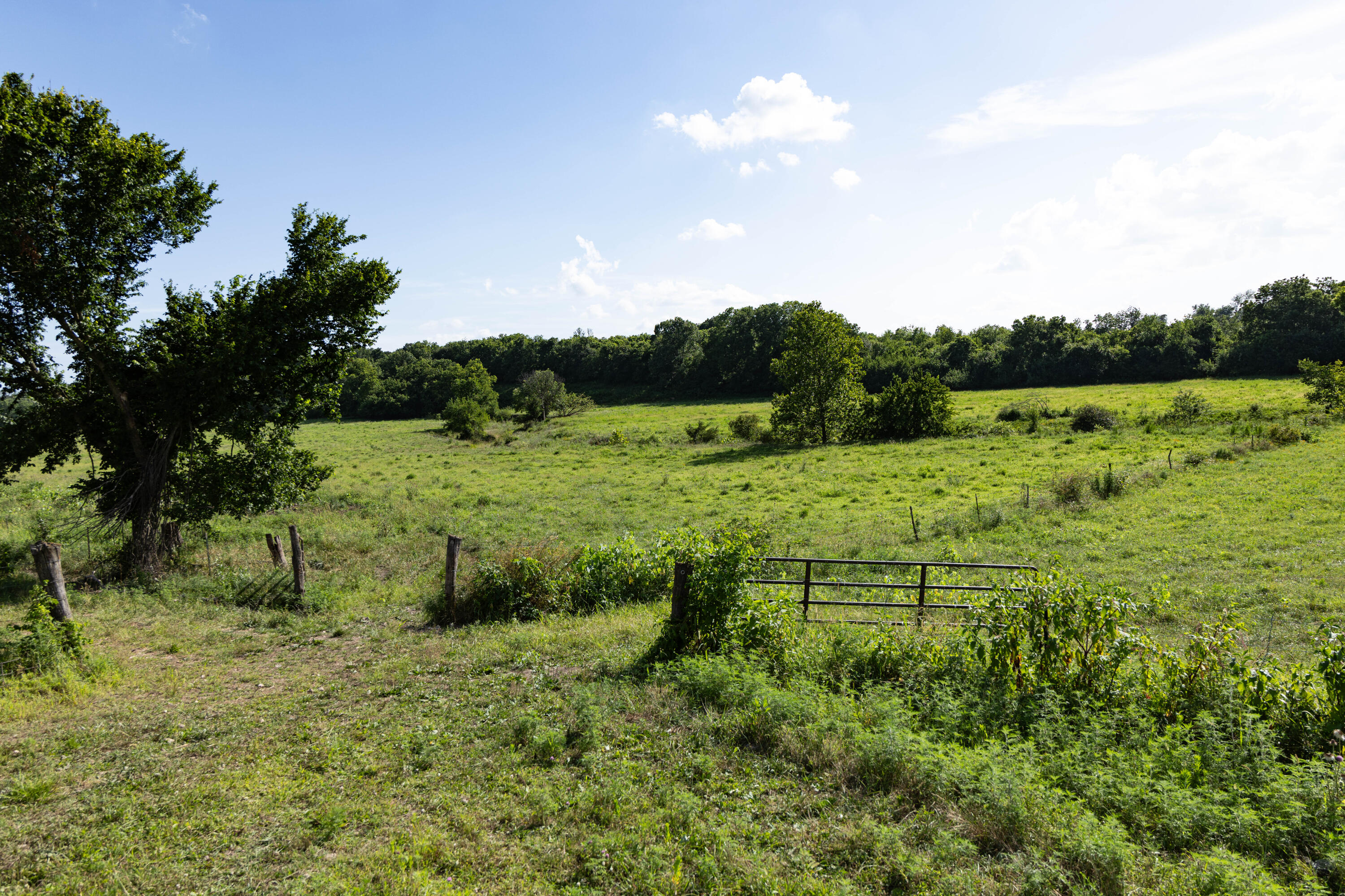 Photo 91 - Farm for sale – 16406  Lawrence 2240   Verona, MO