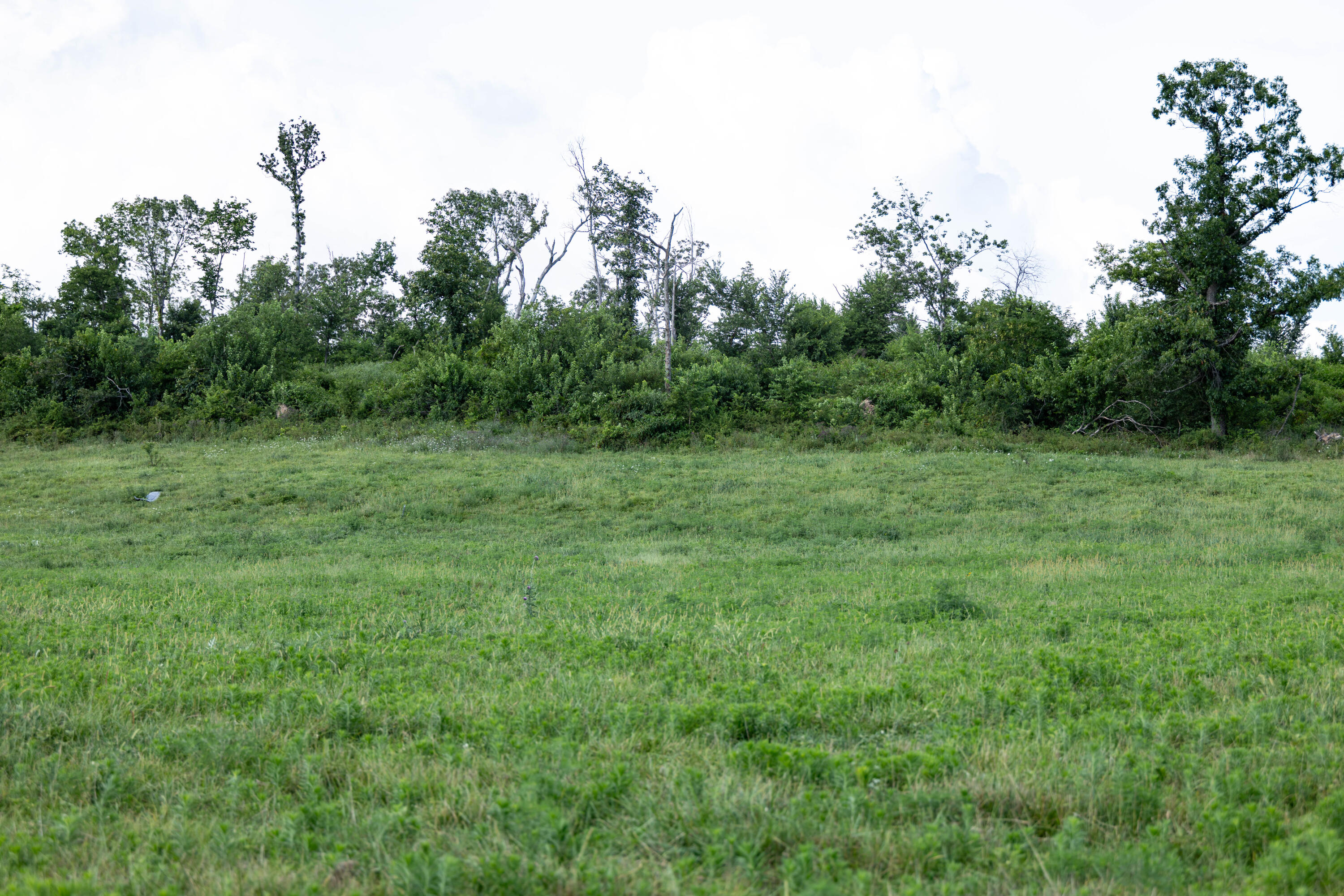 Photo 33 - Farm for sale – 16406  Lawrence 2240   Verona, MO
