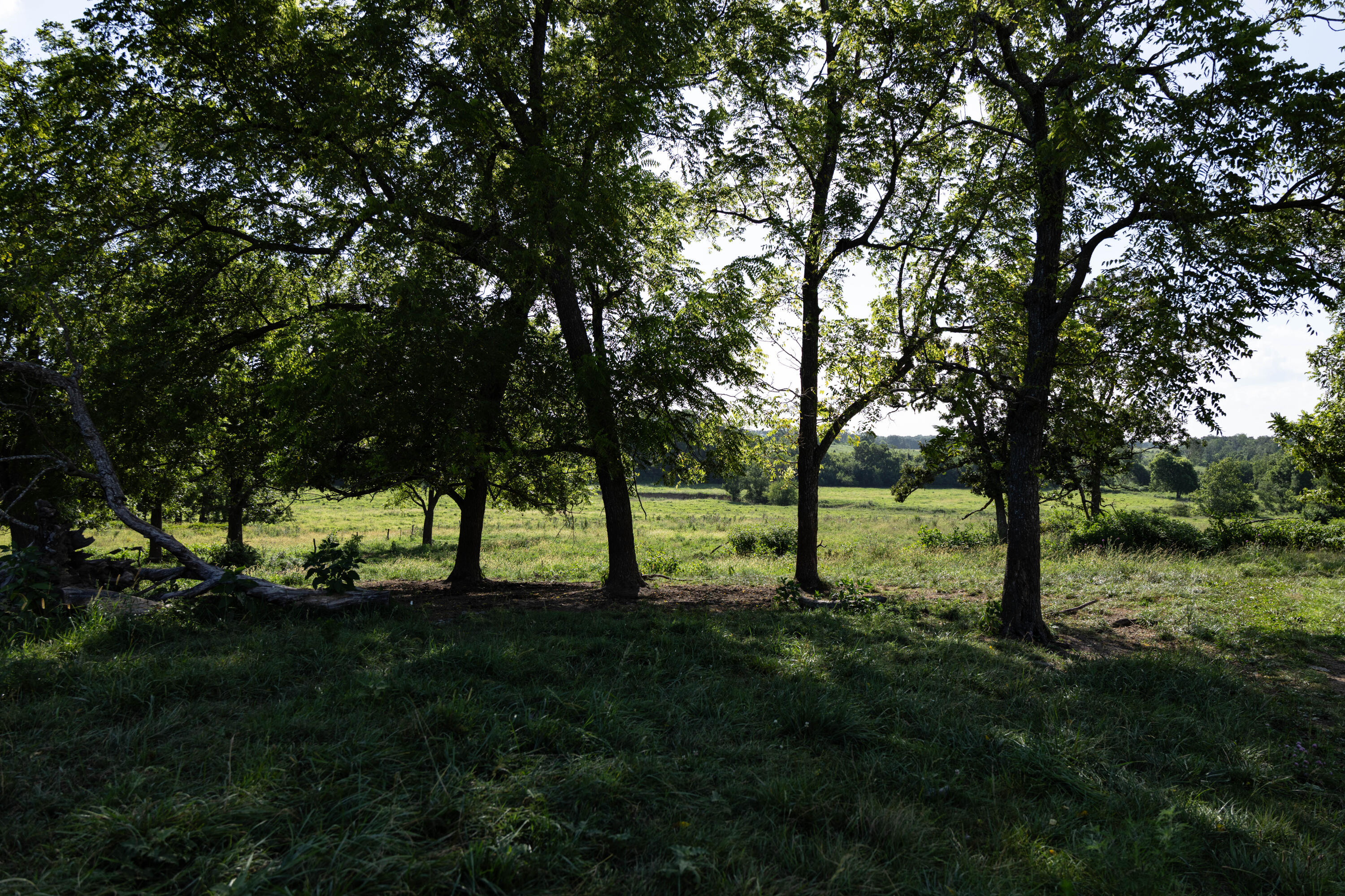 Photo 113 - Farm for sale – 16406  Lawrence 2240   Verona, MO