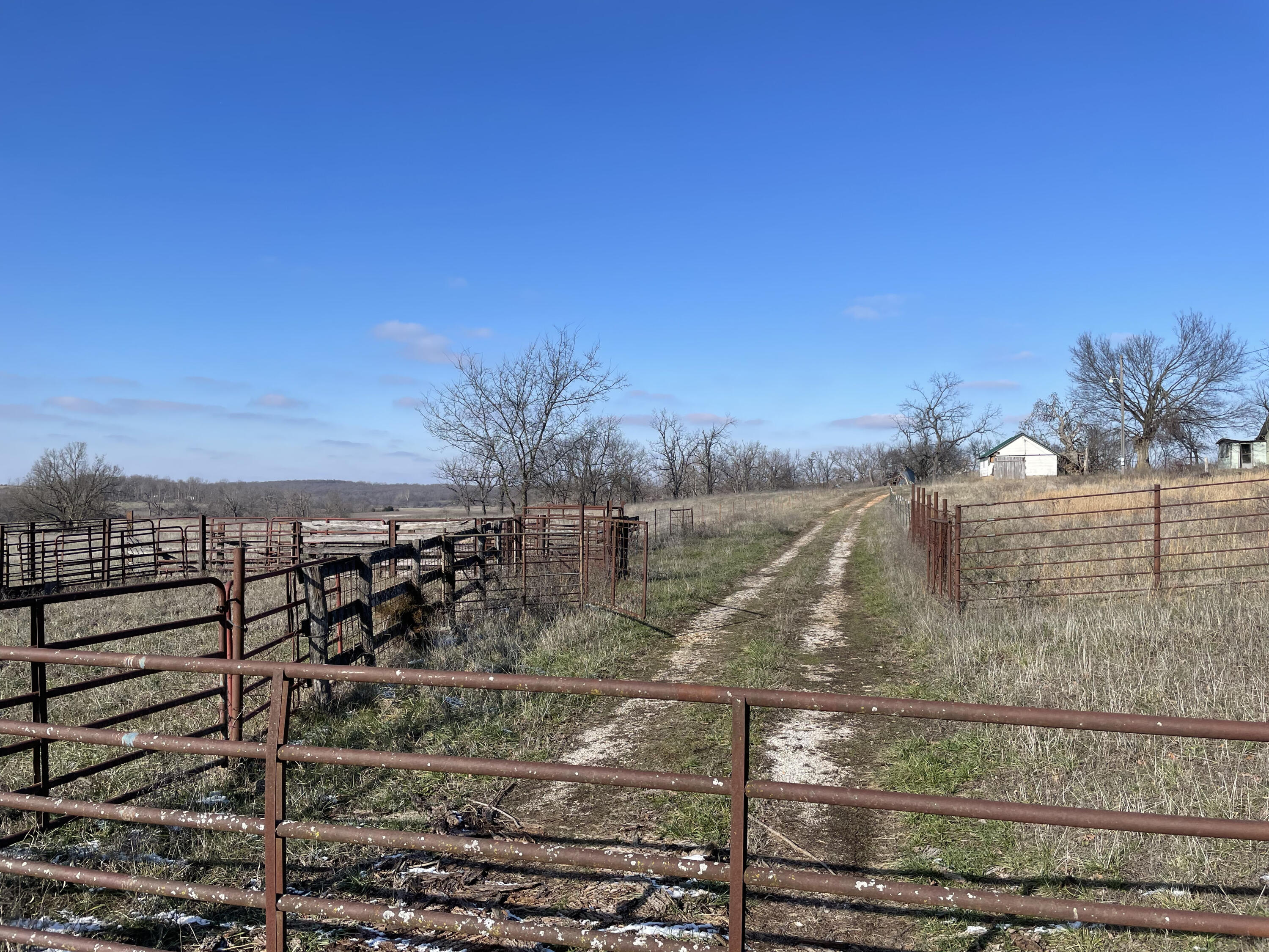 Photo 6 - Farm for sale – 16406  Lawrence 2240   Verona, MO