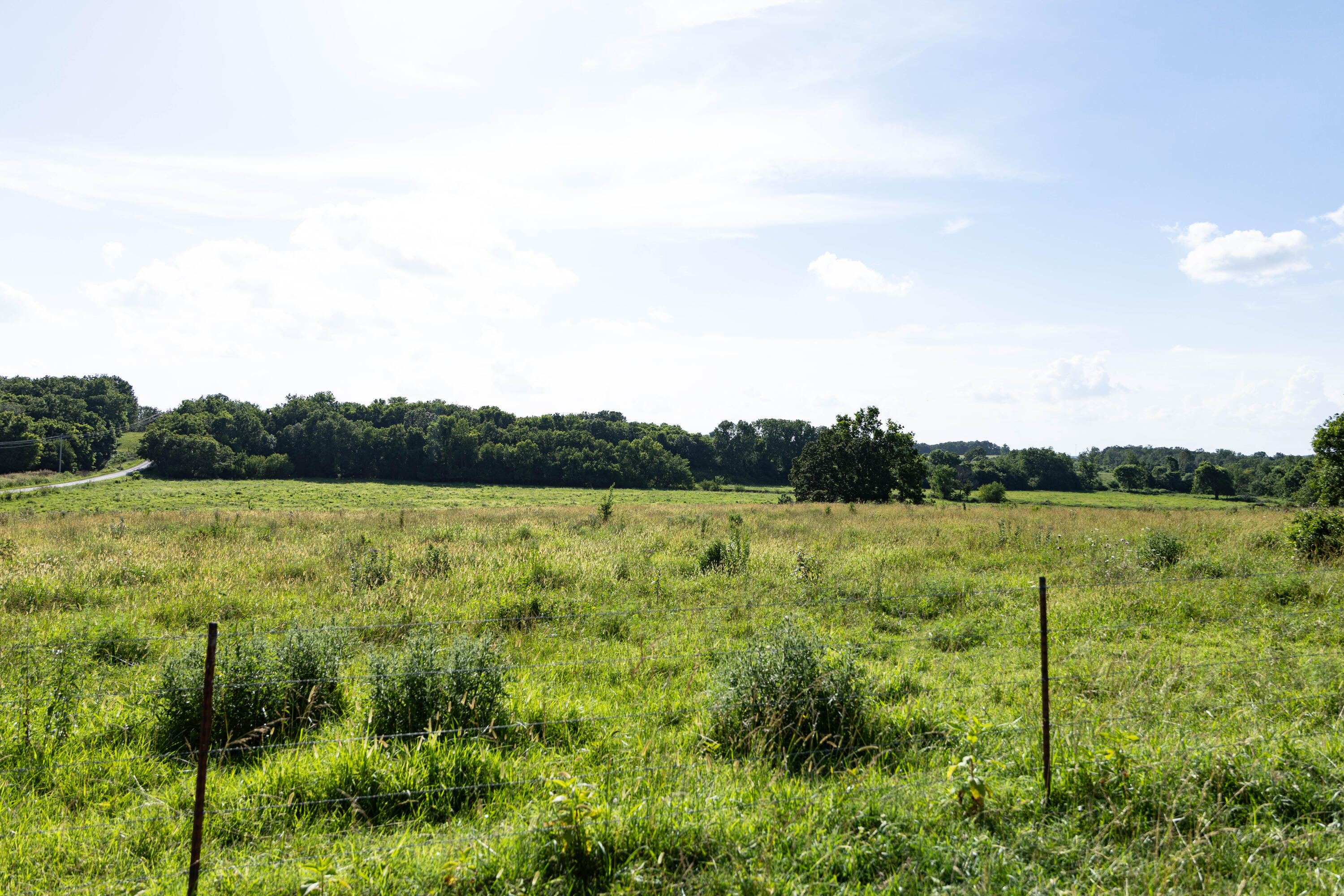 Photo 142 - Farm for sale – 16406  Lawrence 2240   Verona, MO