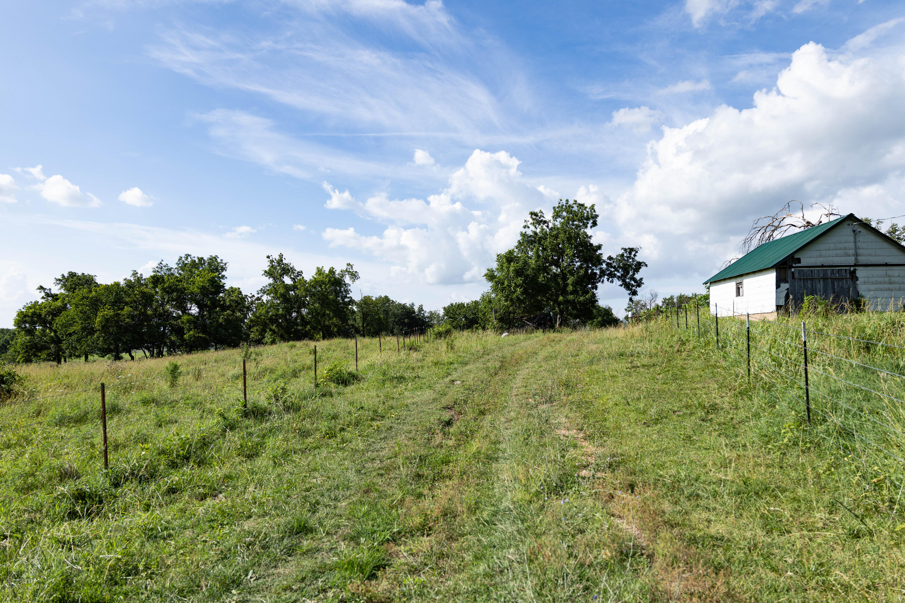 Photo 132 - Farm for sale – 16406  Lawrence 2240   Verona, MO