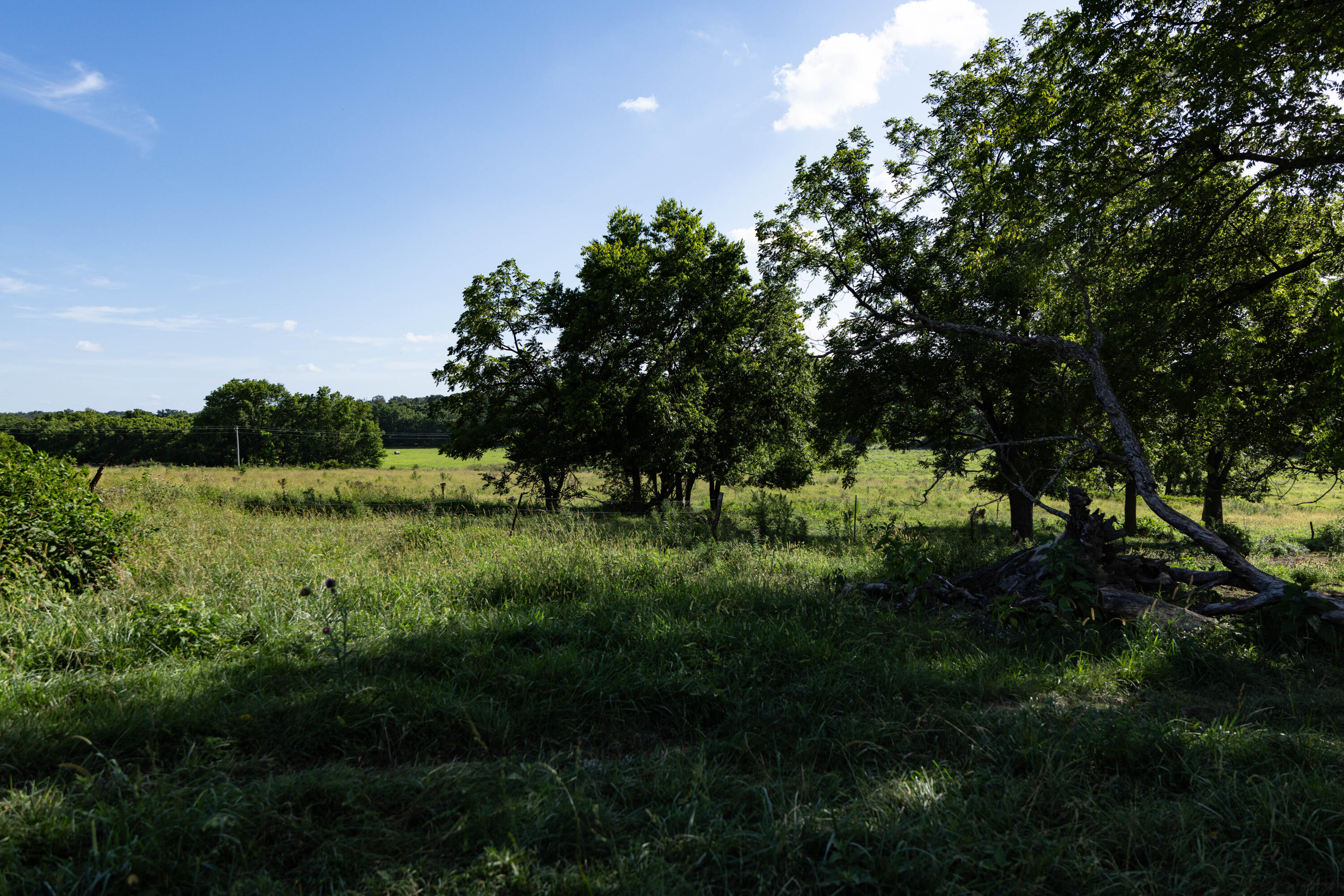 Photo 118 - Farm for sale – 16406  Lawrence 2240   Verona, MO