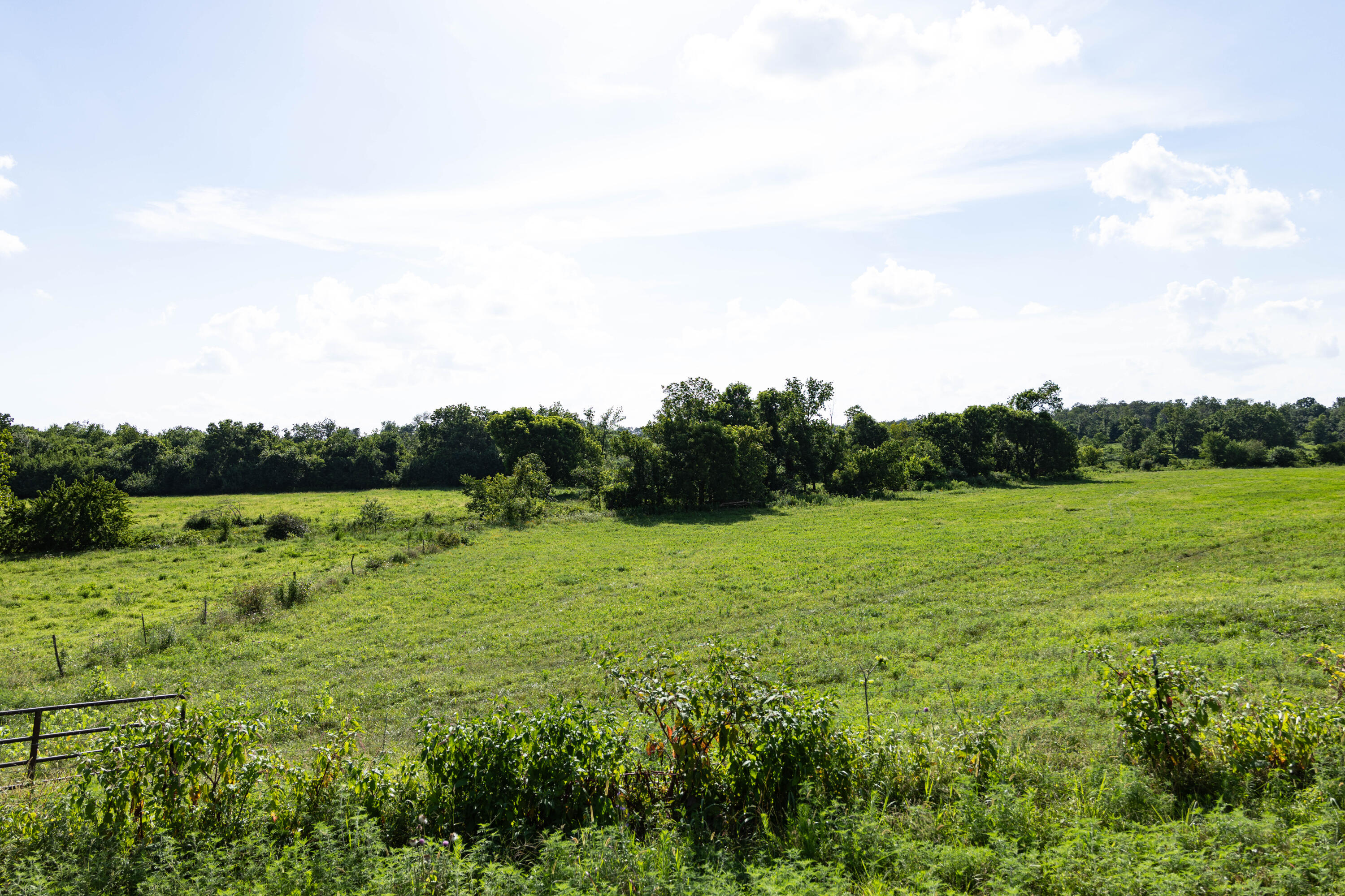 Photo 84 - Farm for sale – 16406  Lawrence 2240   Verona, MO