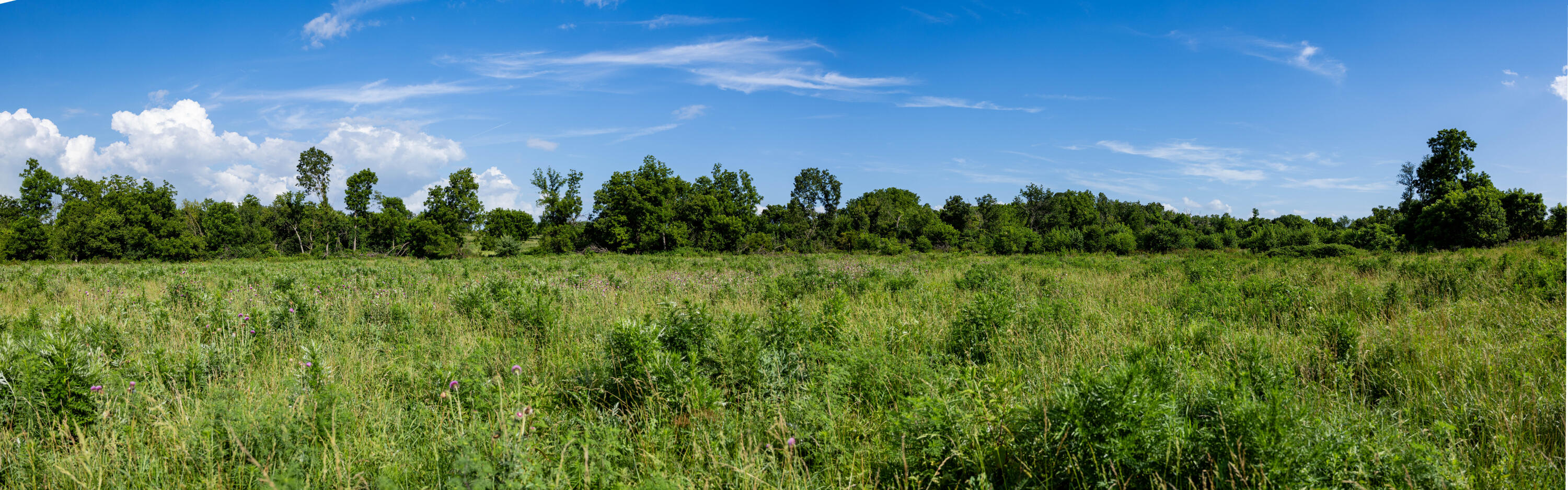 Photo 183 - Farm for sale – 16406  Lawrence 2240   Verona, MO