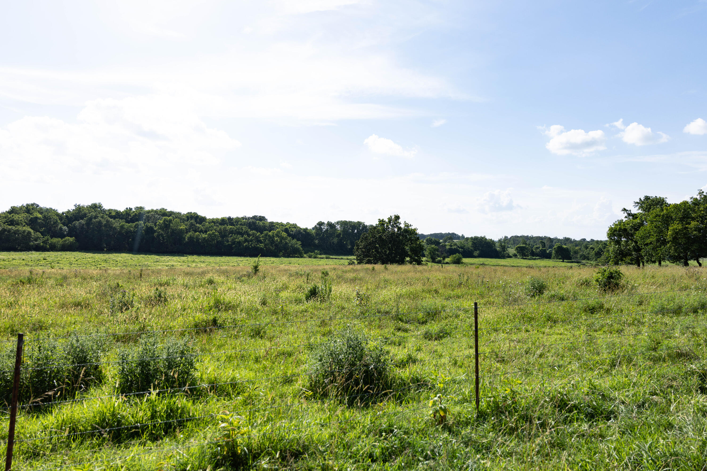 Photo 141 - Farm for sale – 16406  Lawrence 2240   Verona, MO