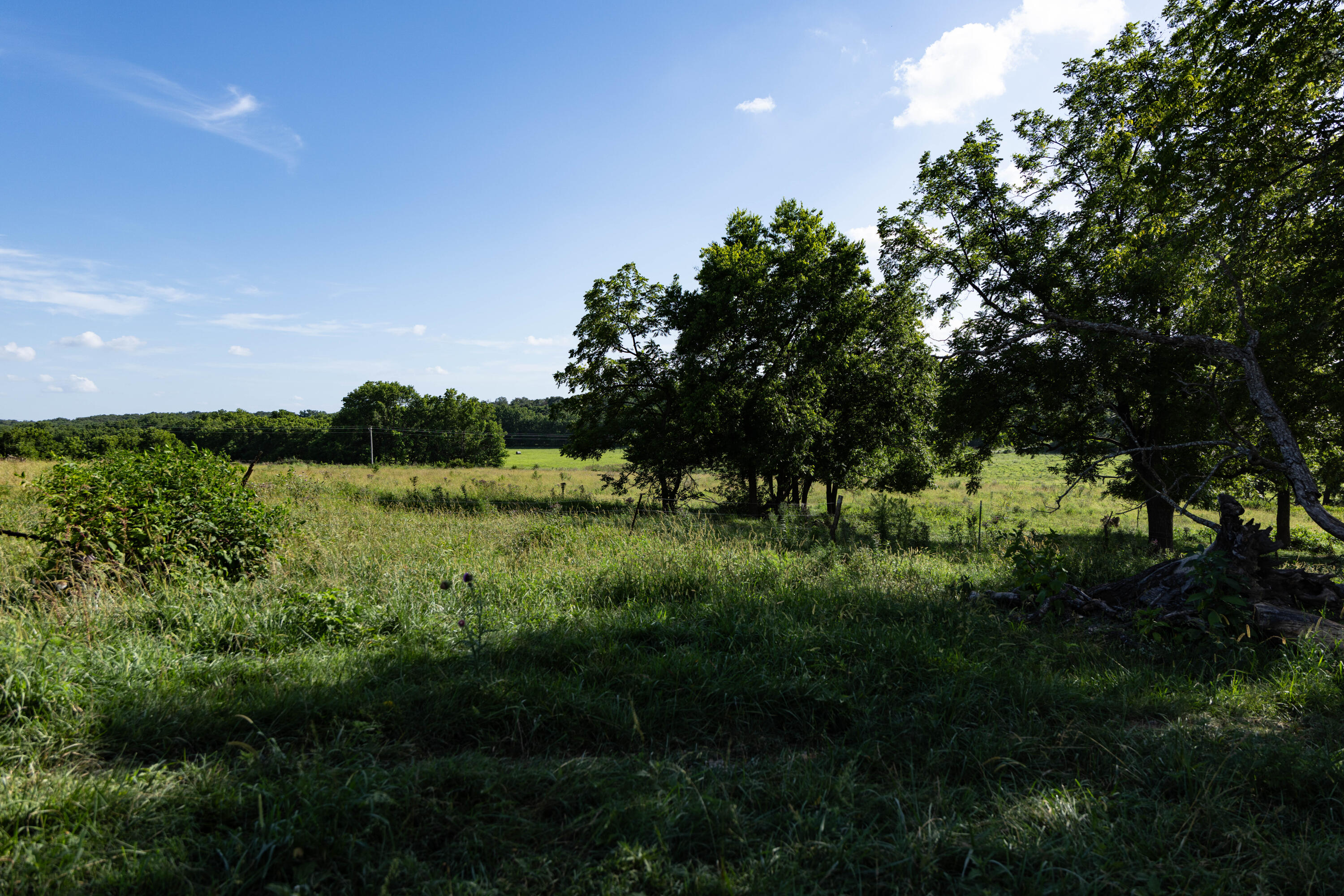Photo 119 - Farm for sale – 16406  Lawrence 2240   Verona, MO