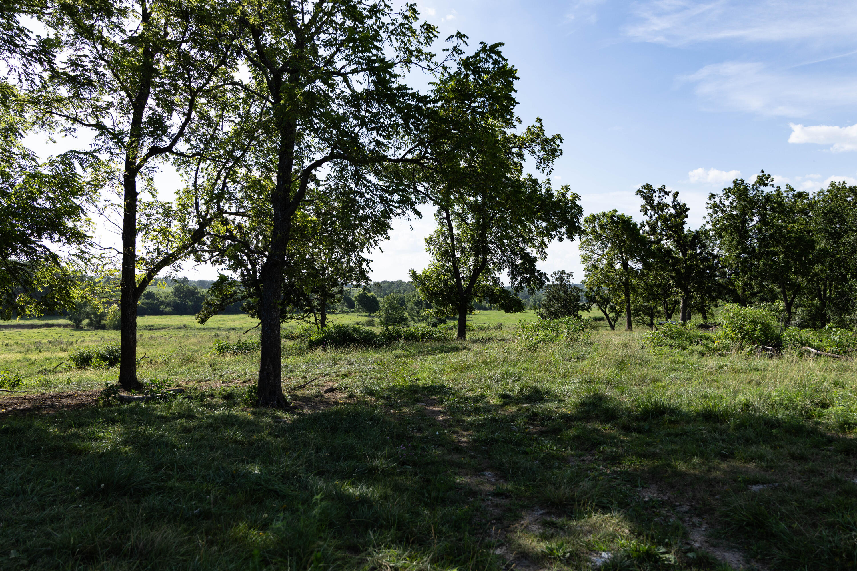 Photo 109 - Farm for sale – 16406  Lawrence 2240   Verona, MO