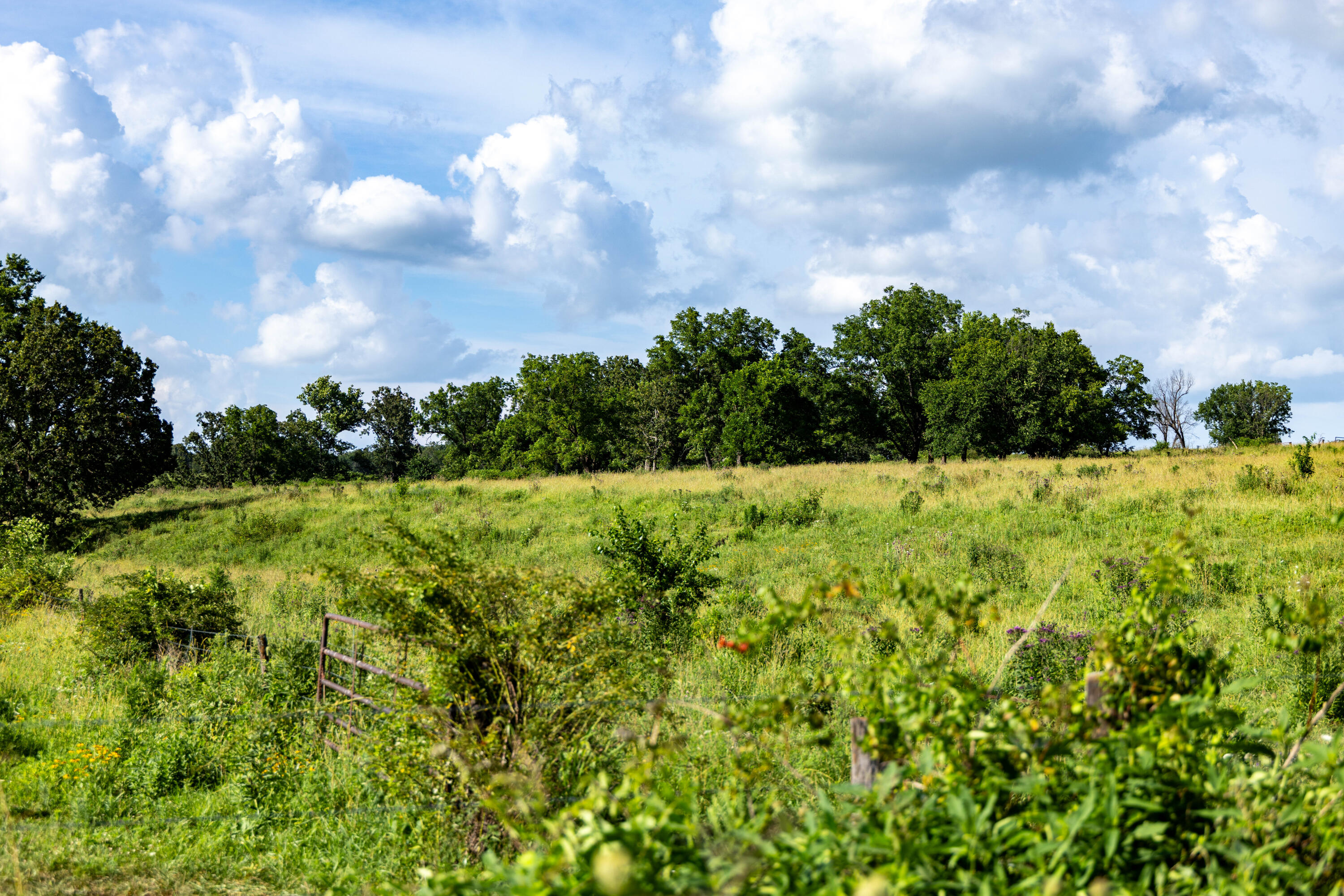 Photo 175 - Farm for sale – 16406  Lawrence 2240   Verona, MO