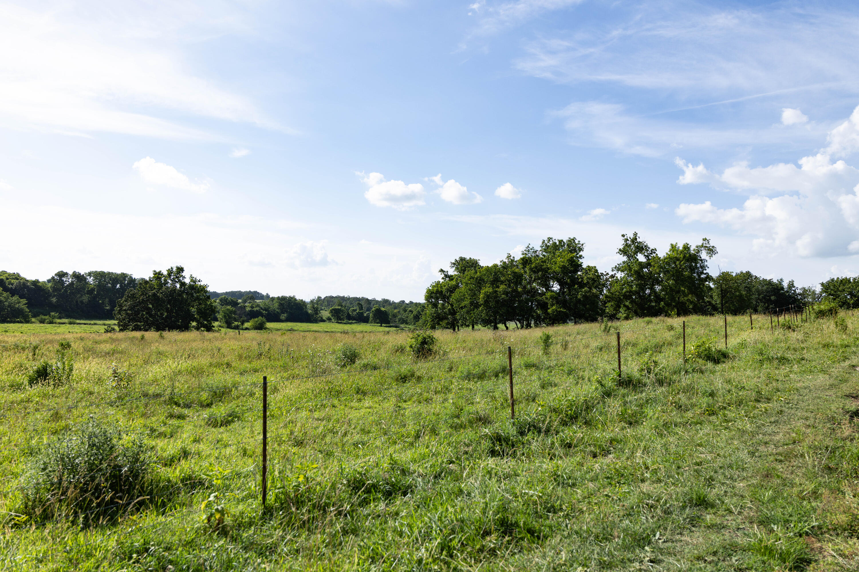 Photo 137 - Farm for sale – 16406  Lawrence 2240   Verona, MO