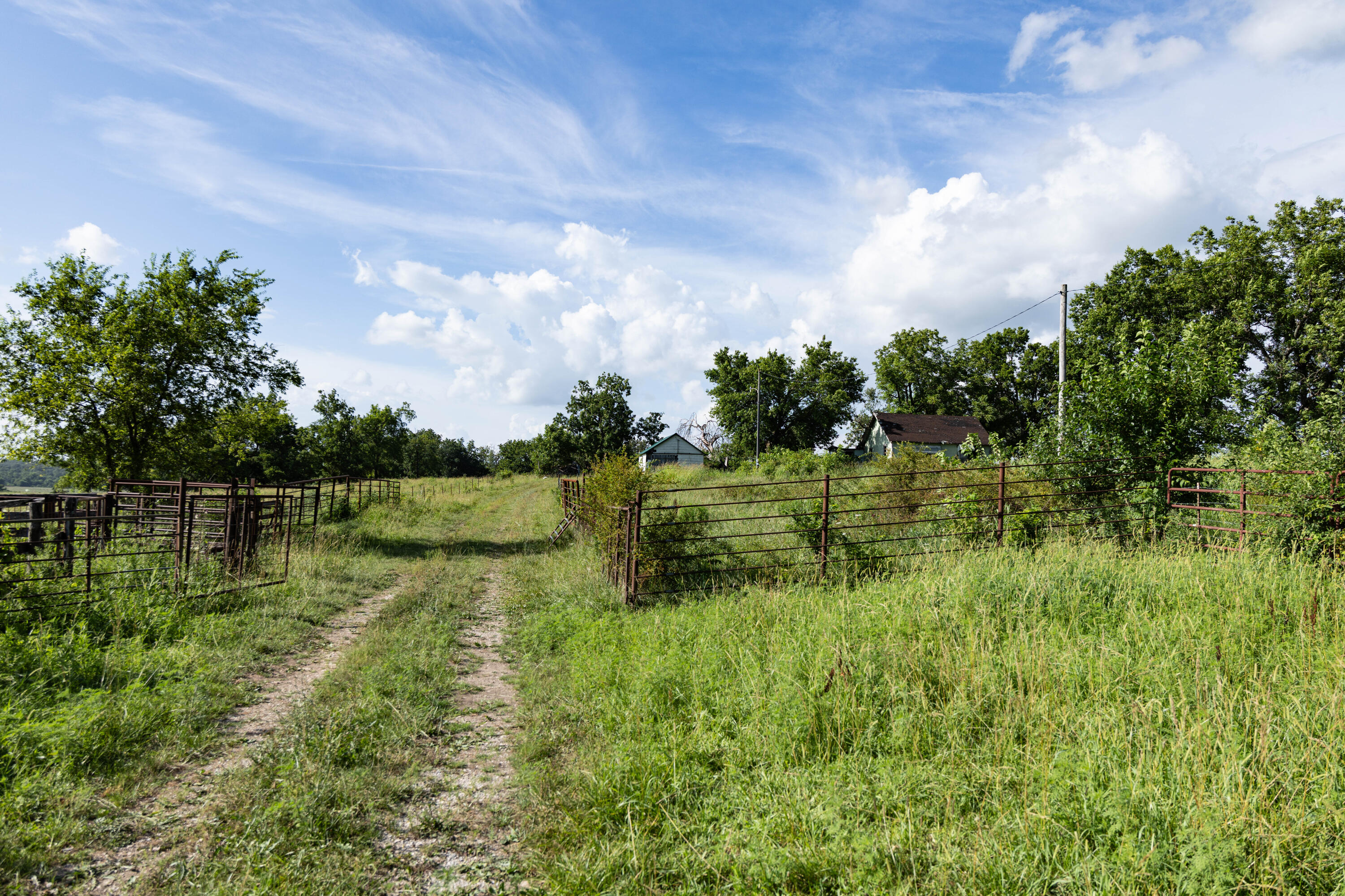 Photo 149 - Farm for sale – 16406  Lawrence 2240   Verona, MO