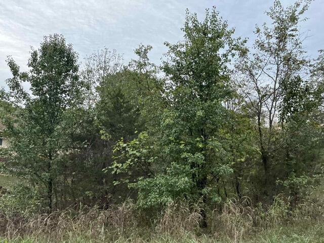 Photo 3 - Land for sale – Lot 20  Rabbit Run   Cape Fair, MO