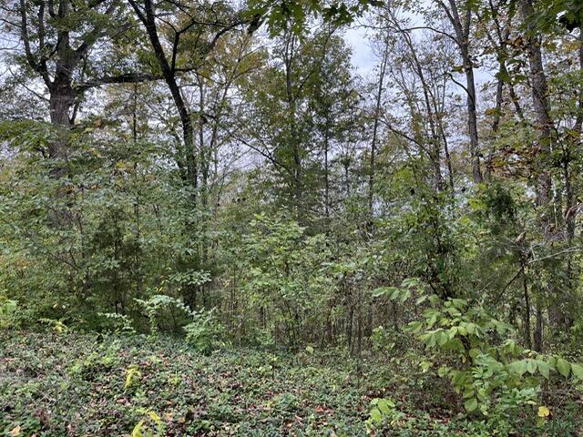 Photo 4 - Land for sale – Lot 20  Rabbit Run   Cape Fair, MO