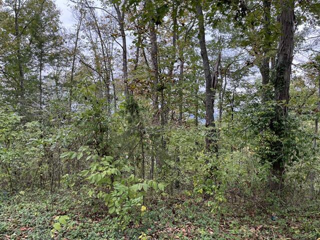 Photo 5 - Land for sale – Lot 20  Rabbit Run   Cape Fair, MO
