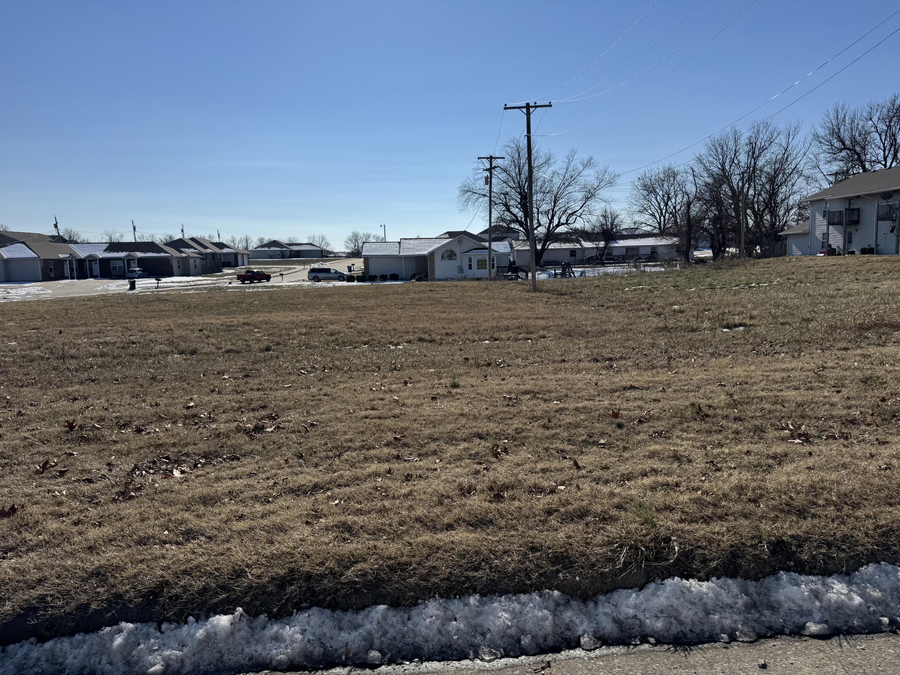 Photo 2 - Commercial Sale for sale – 000 W Aldrich Road  Bolivar, MO