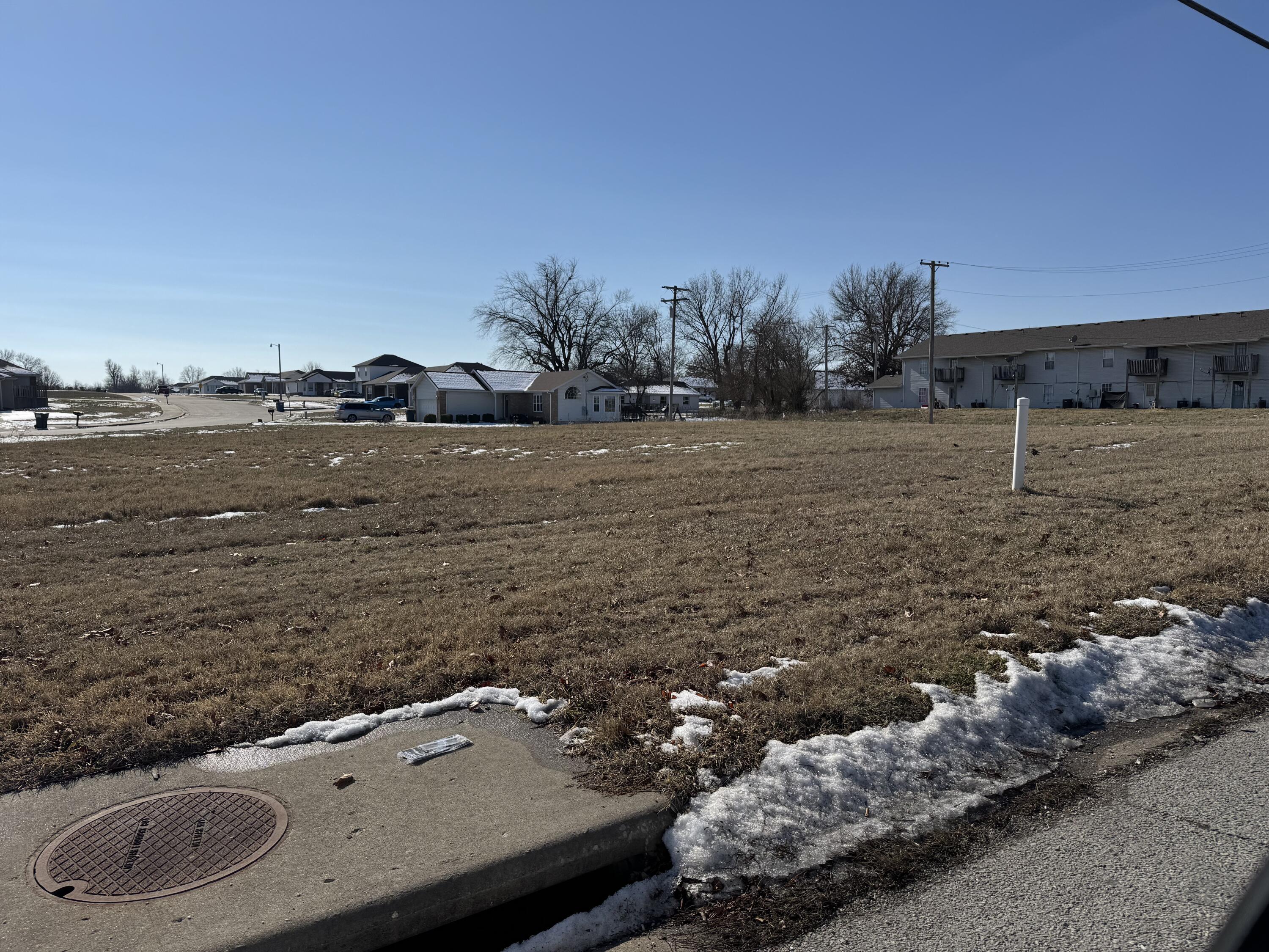 Photo 3 - Commercial Sale for sale – 000 W Aldrich Road  Bolivar, MO