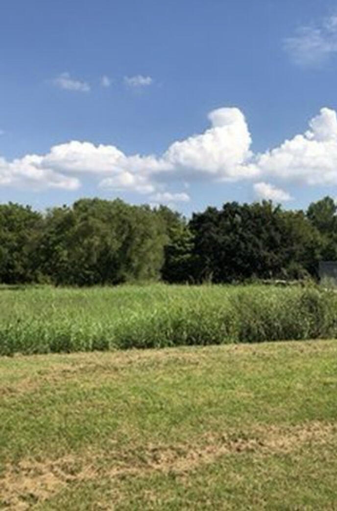 Photo 4 - Land for sale – 000 N Centennial Boulevard  Nevada, MO
