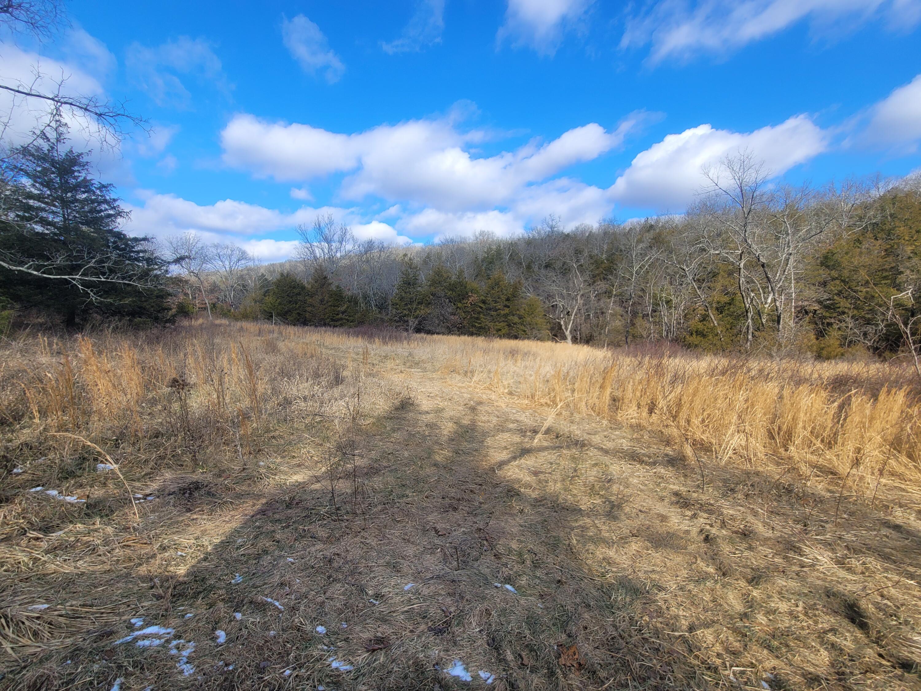 Photo 31 - Residential for sale – 361  Hickory Flats Road  Ava, MO