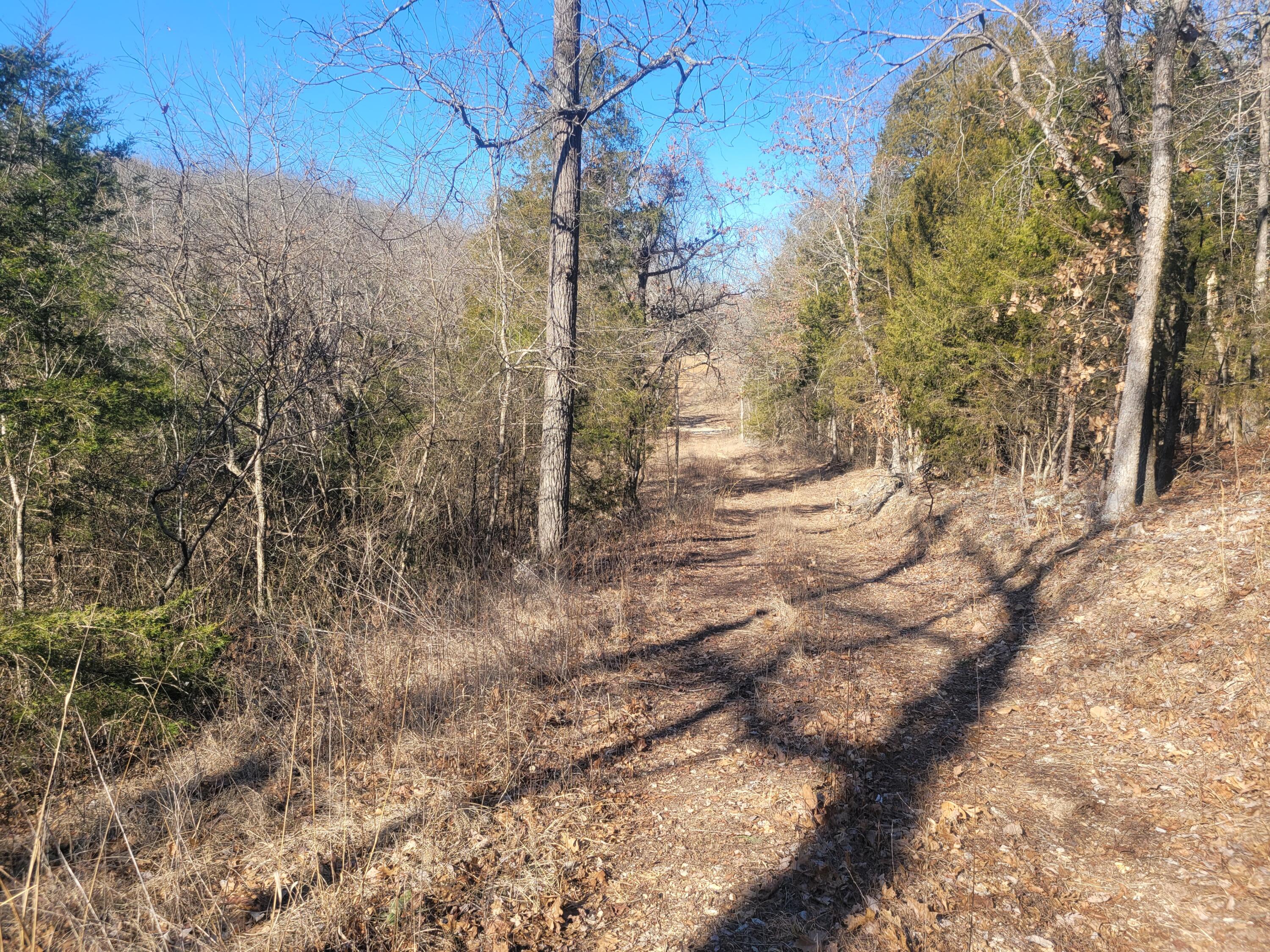 Photo 13 - Residential for sale – 361  Hickory Flats Road  Ava, MO