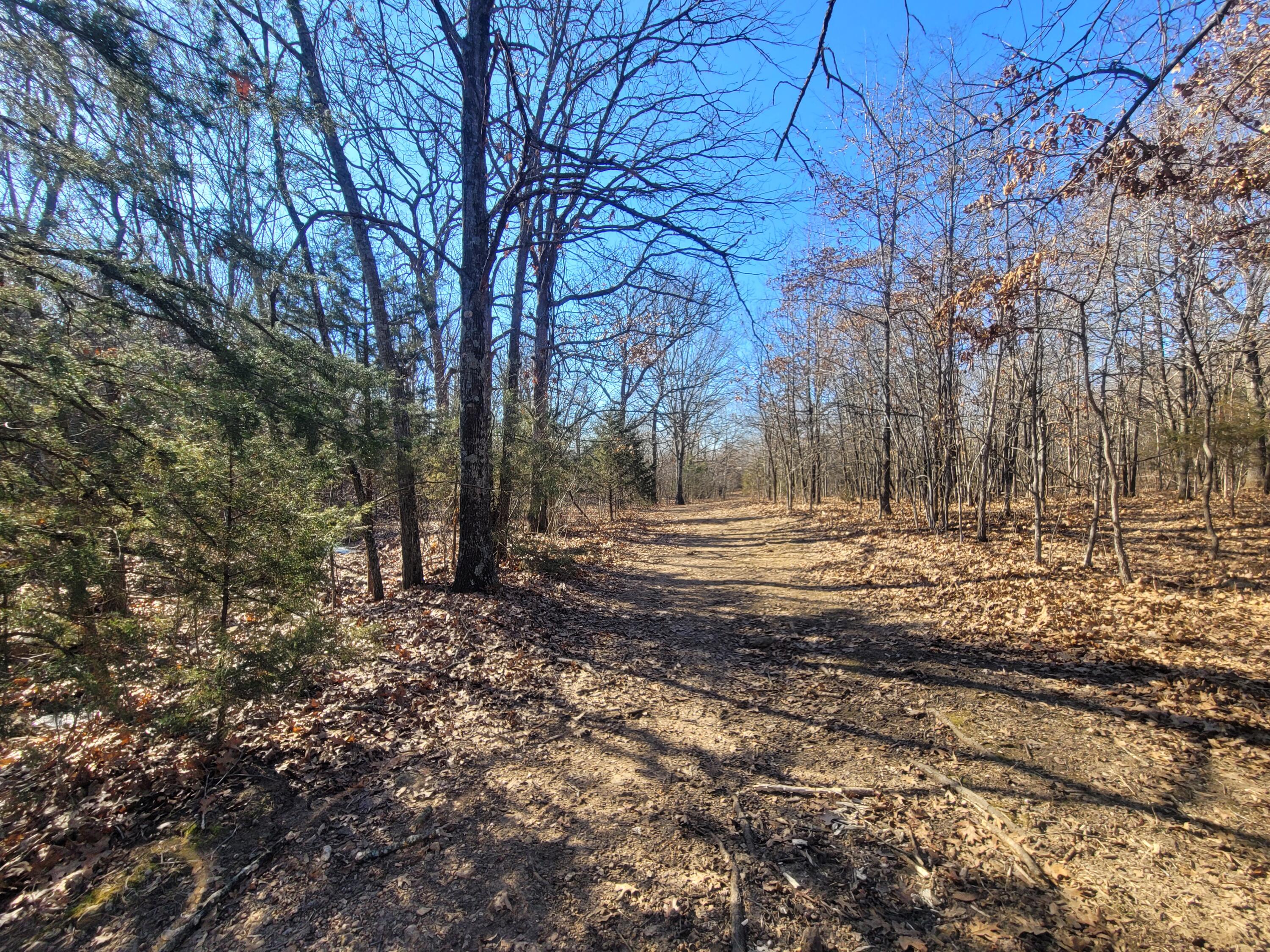 Photo 11 - Residential for sale – 361  Hickory Flats Road  Ava, MO