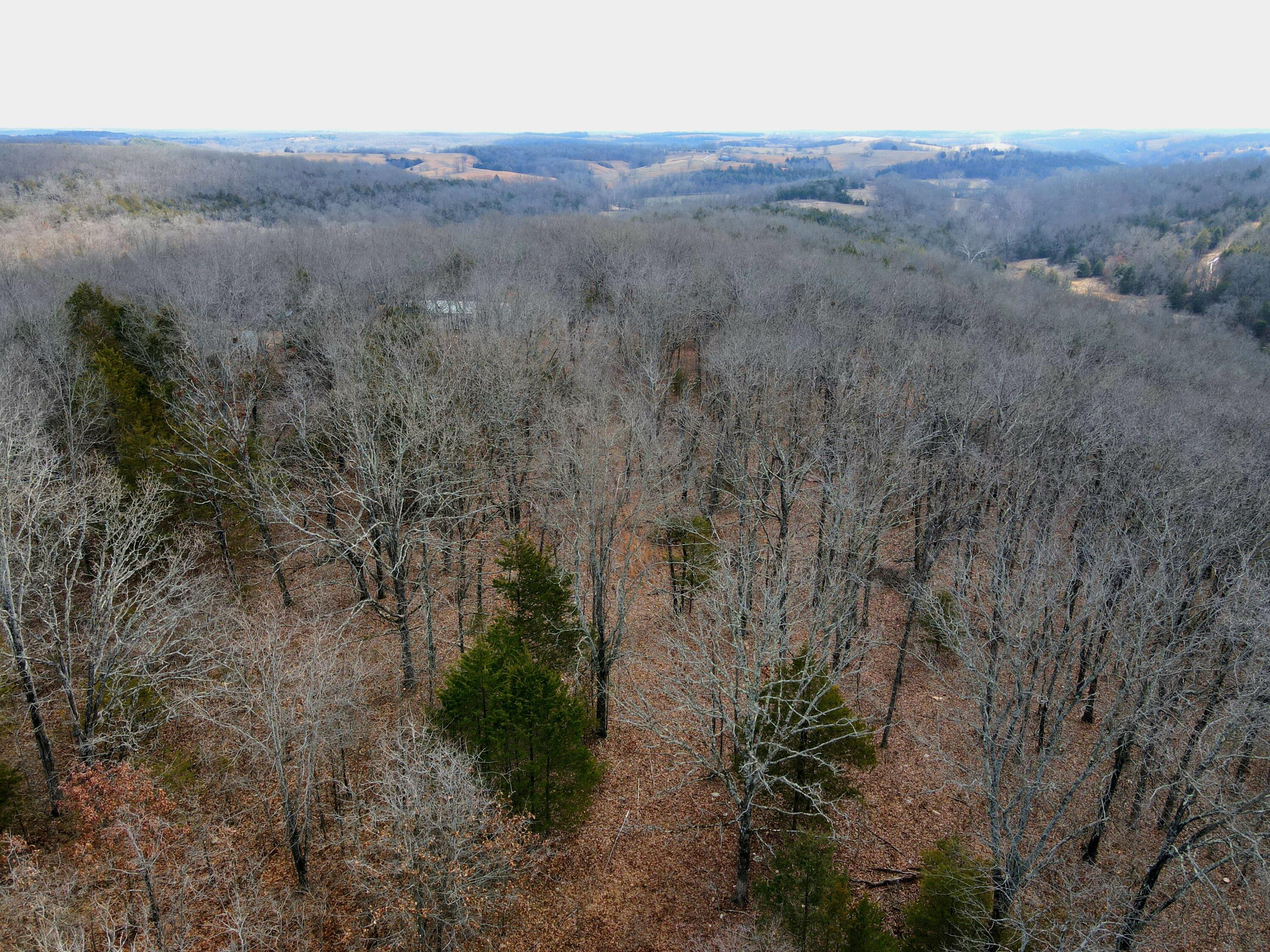 Photo 44 - Residential for sale – 361  Hickory Flats Road  Ava, MO