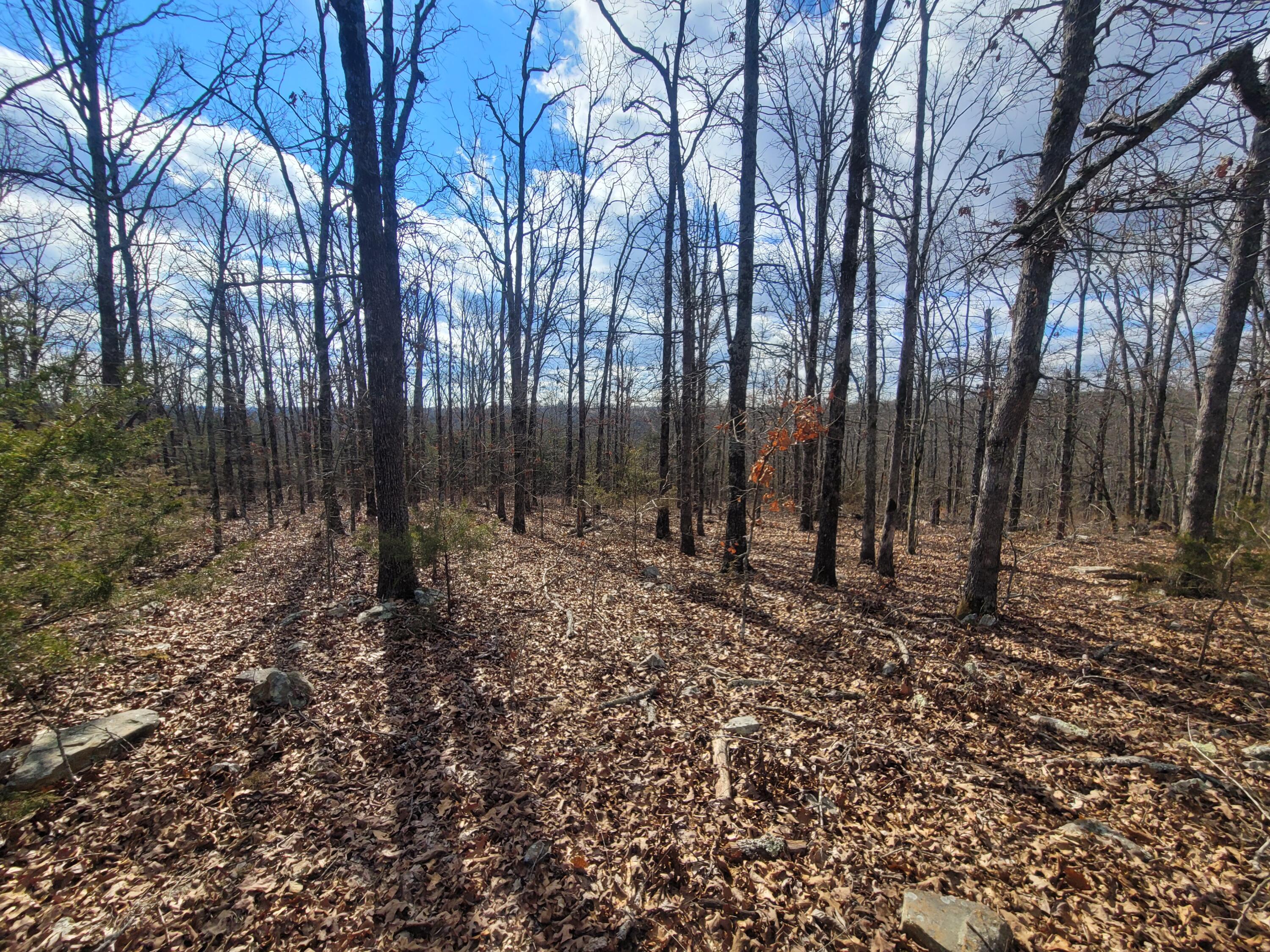 Photo 32 - Residential for sale – 361  Hickory Flats Road  Ava, MO