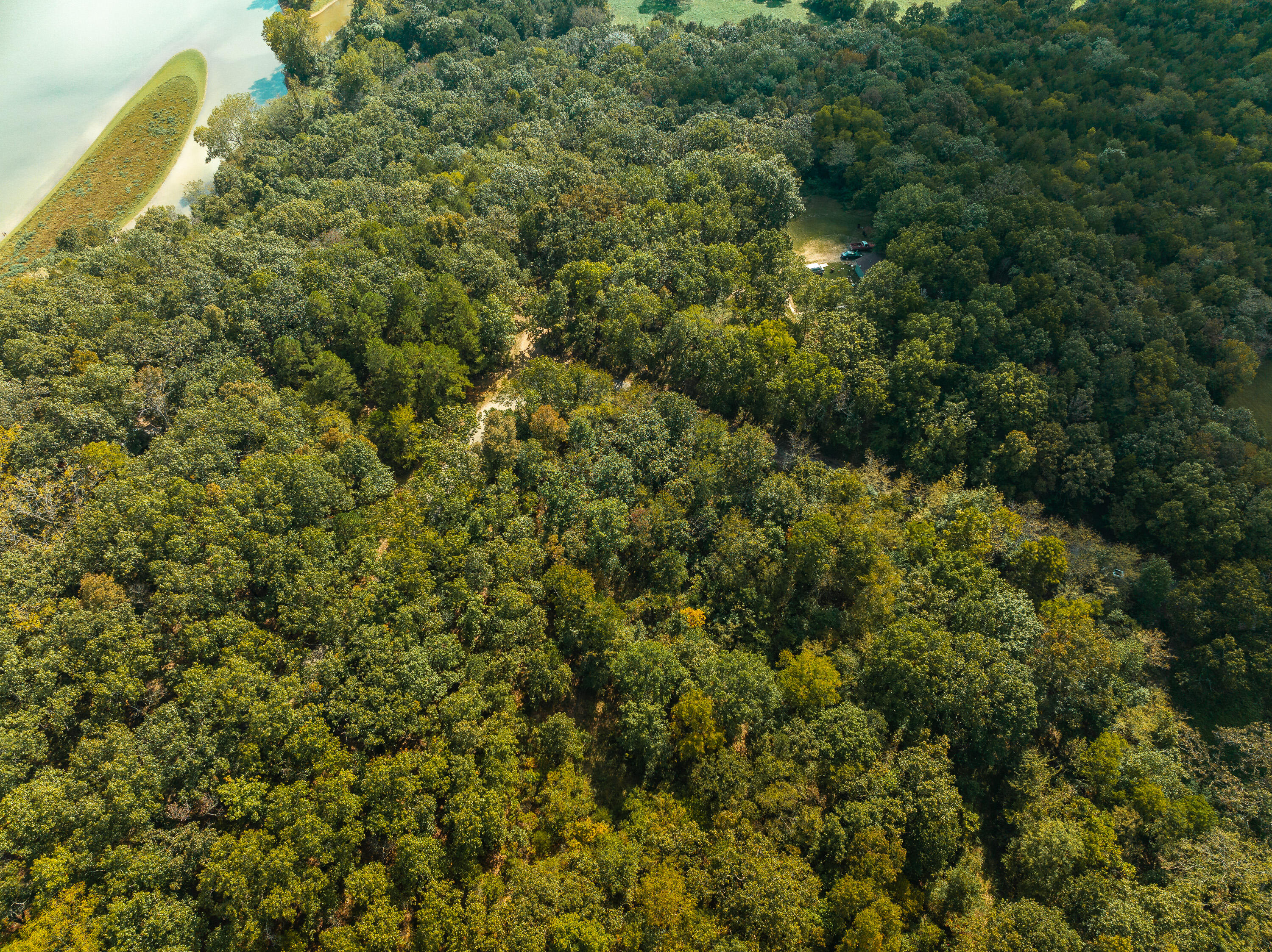 Photo 5 - Land for sale – 28060  Farm Rd 1268   Golden, MO