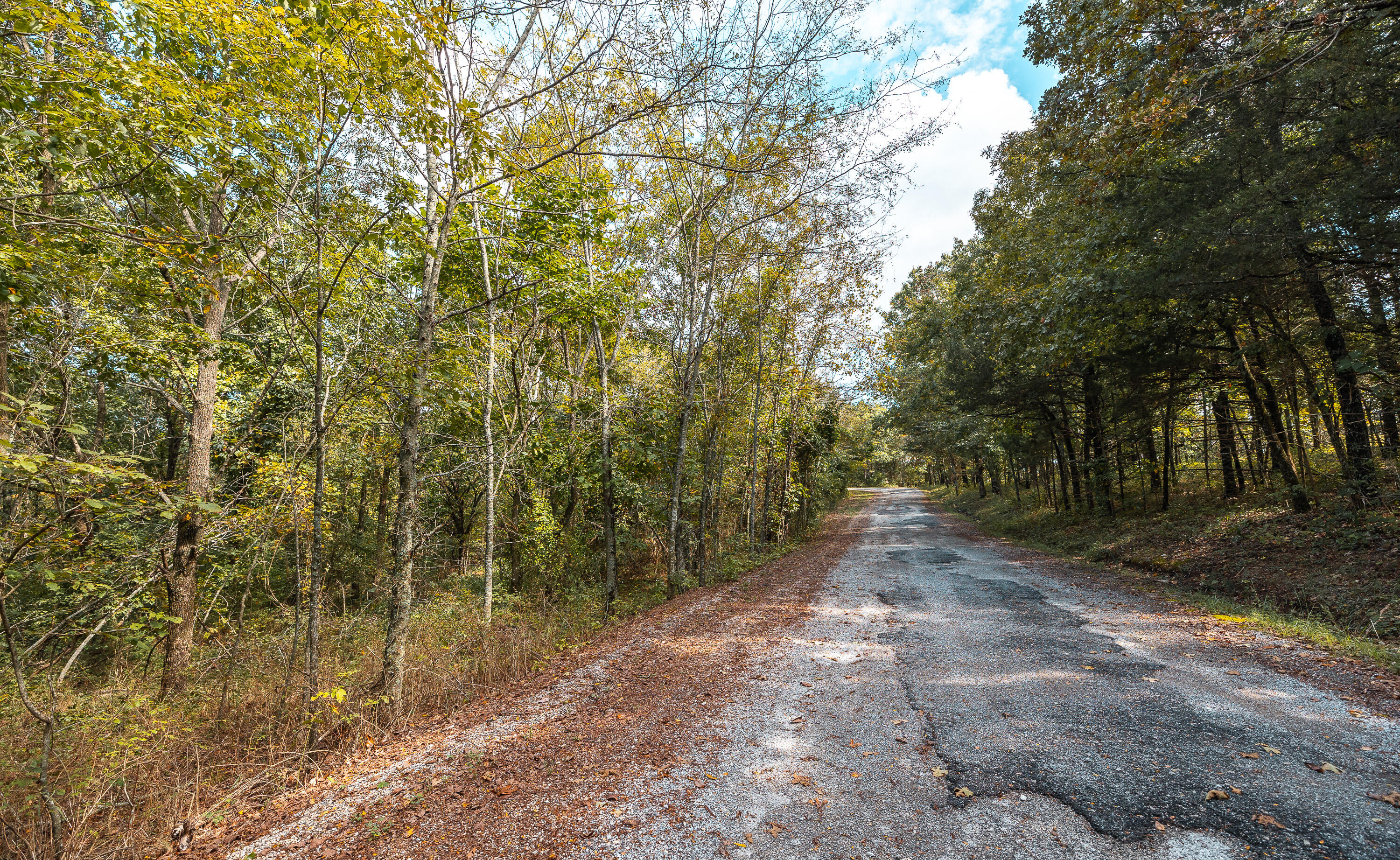 Photo 2 - Land for sale – 28060  Farm Rd 1268   Golden, MO