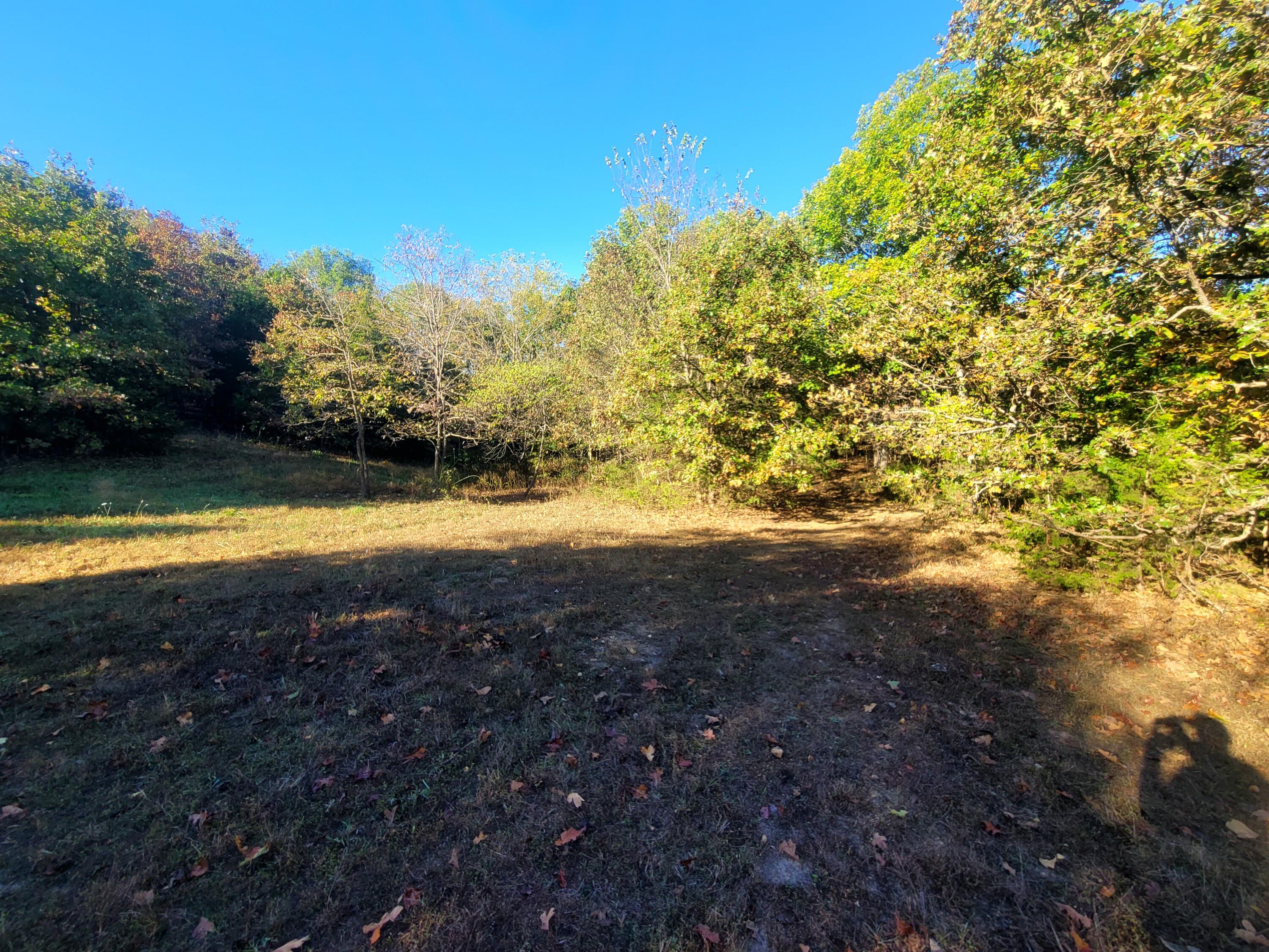 Photo 6 - Residential for sale – 3121  South 25th Road   Humansville, MO