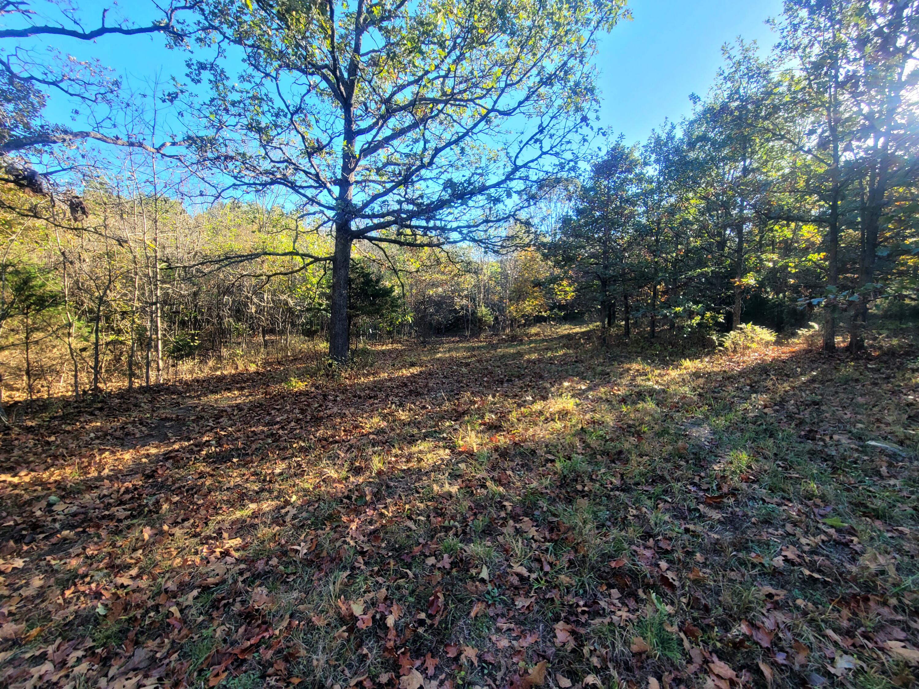 Photo 7 - Residential for sale – 3121  South 25th Road   Humansville, MO