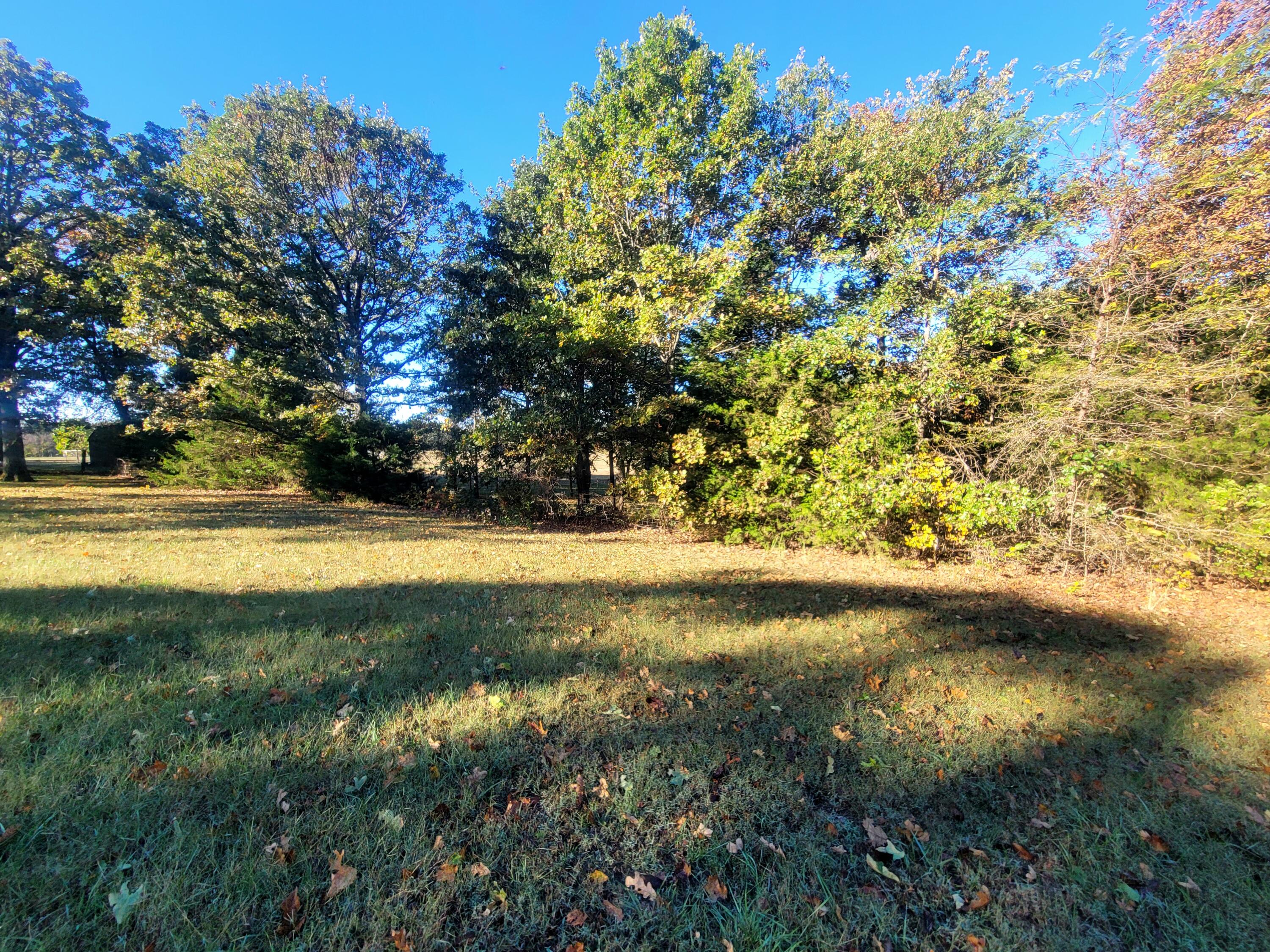 Photo 8 - Residential for sale – 3121  South 25th Road   Humansville, MO