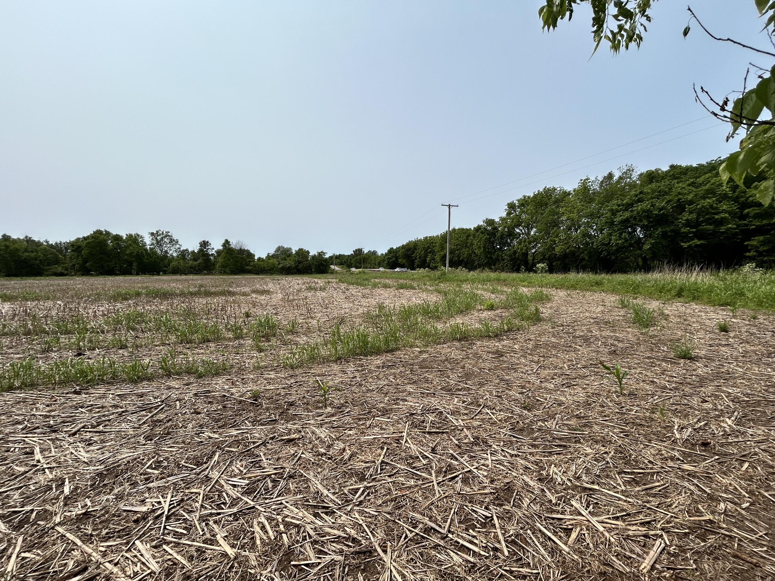 Photo 3 - Land for sale – Lot 1 S State Highway T   Springfield, MO