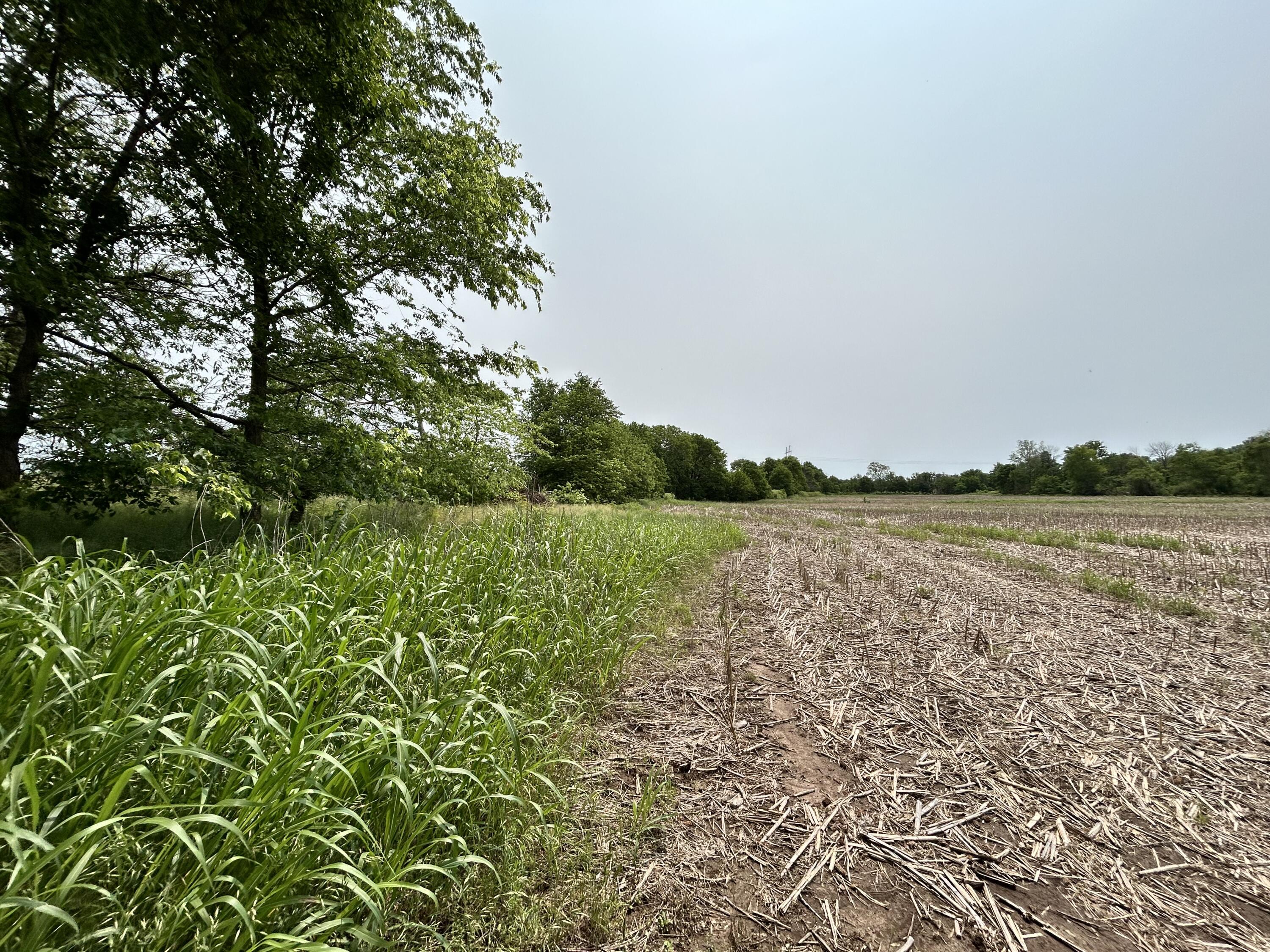 Photo 4 - Land for sale – Lot 1 S State Highway T   Springfield, MO