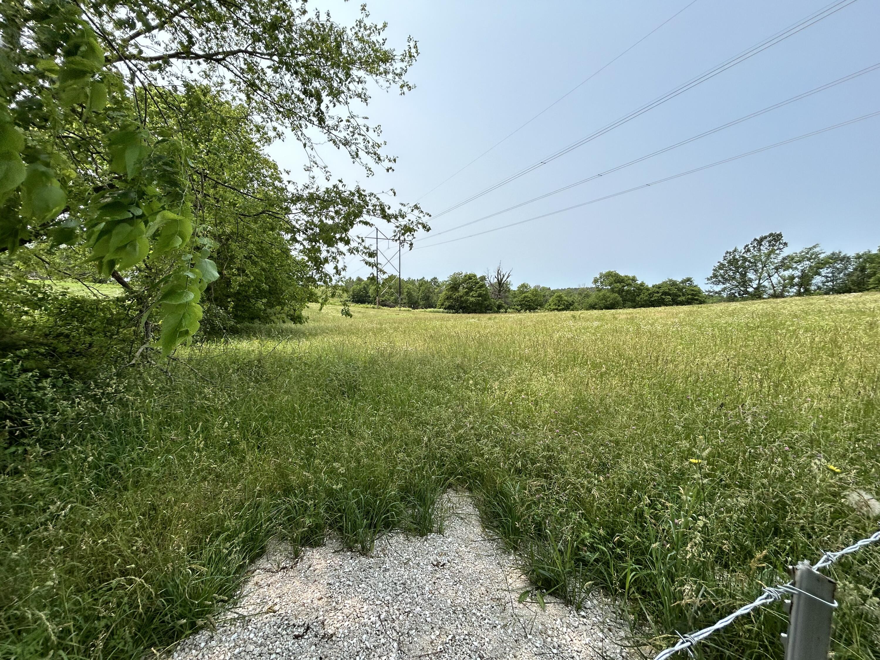 Photo 3 - Land for sale – Lot 2 S Farm Road 83   Springfield, MO