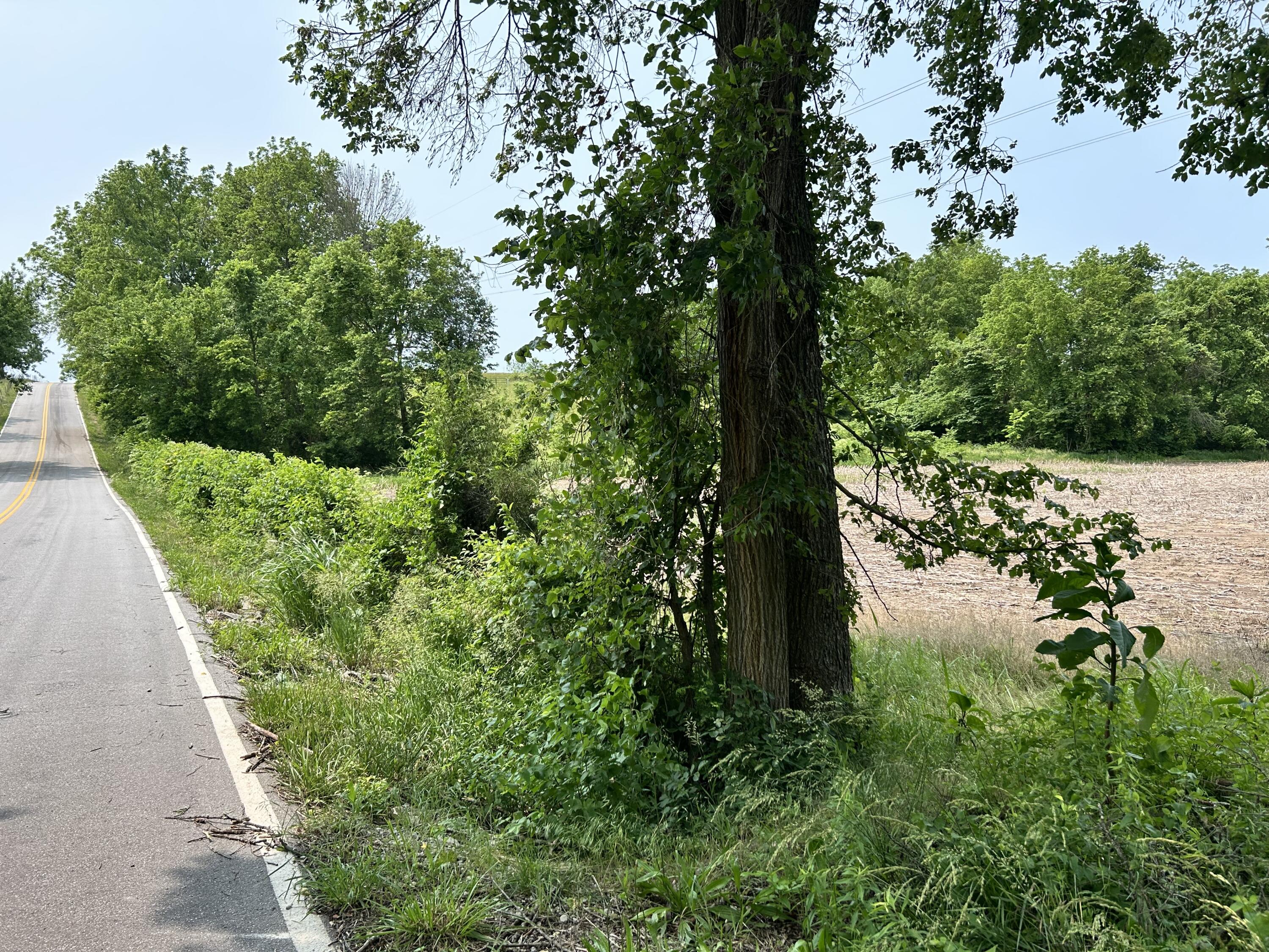 Photo 2 - Land for sale – Lot 3 S Farm Road 83   Springfield, MO