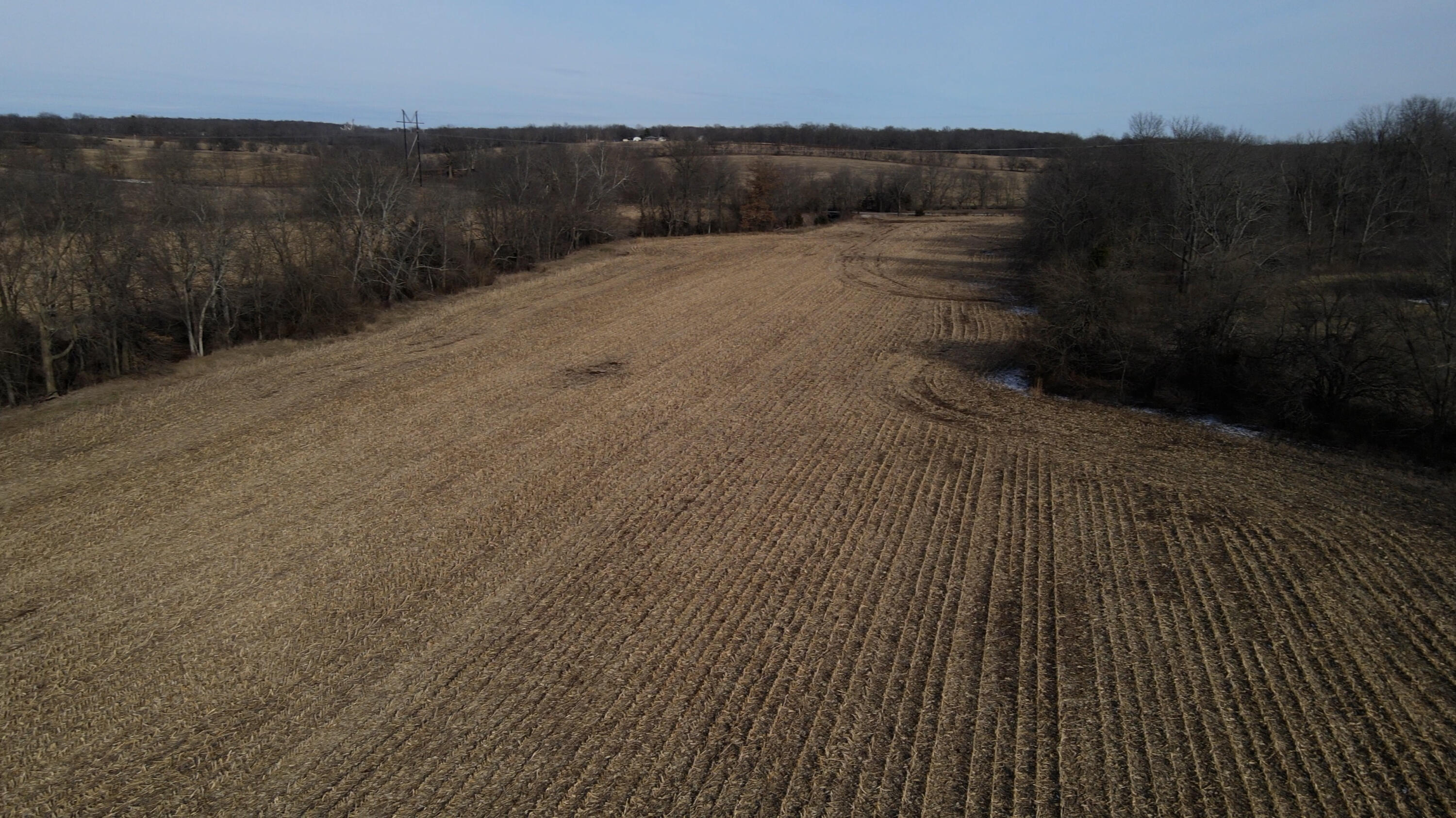 Photo 5 - Land for sale – Lot 3 S Farm Road 83   Springfield, MO