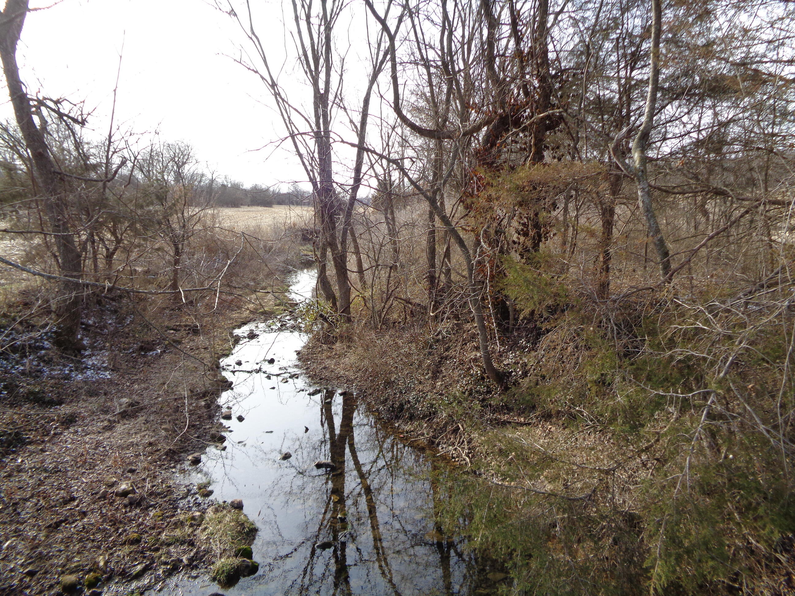 Photo 3 - Land for sale – Lot 3 S Farm Road 83   Springfield, MO
